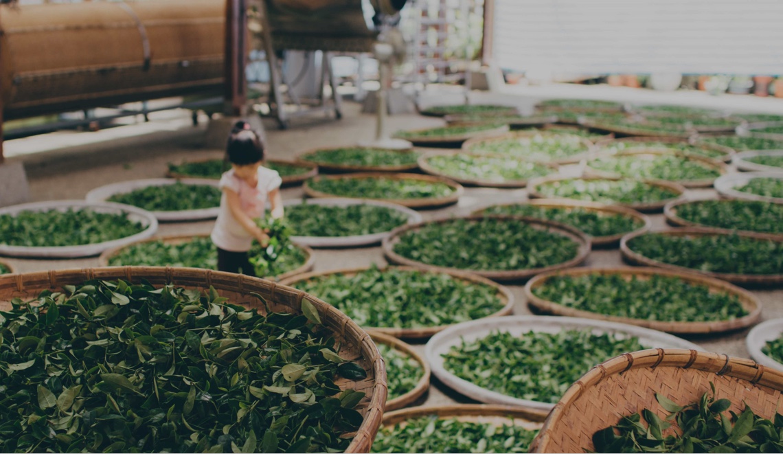 “ปั่นเพื่อพ่อ BIKE FOR DAD”