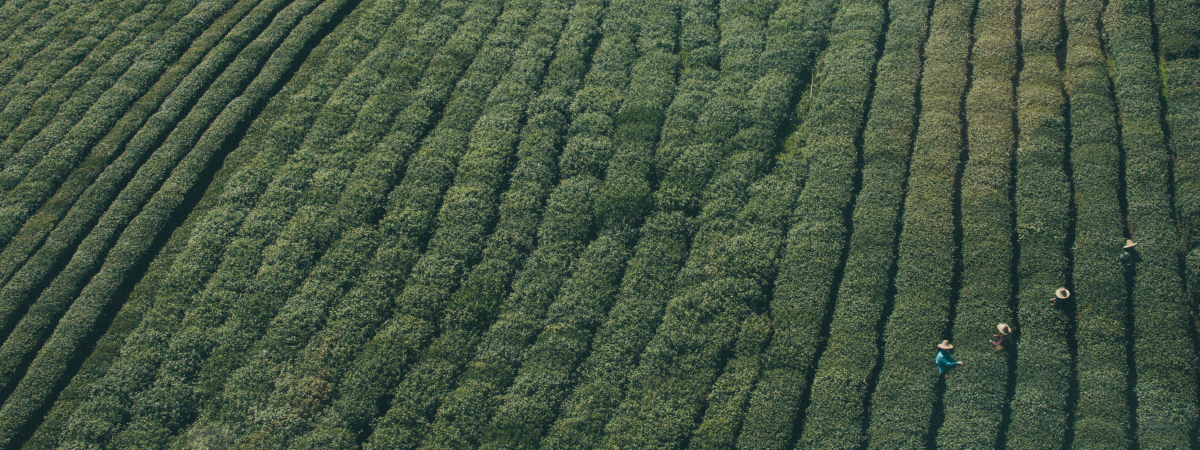 ทีมวิทยากร พช.ยโสธร เคลื่อนทัพดำเนินกิจกรรมตามโครงการฝึกอบรมการใช้งานโปรแกรมบันทึกและประมวลผลข้อมูล จปฐ.ปี 2559