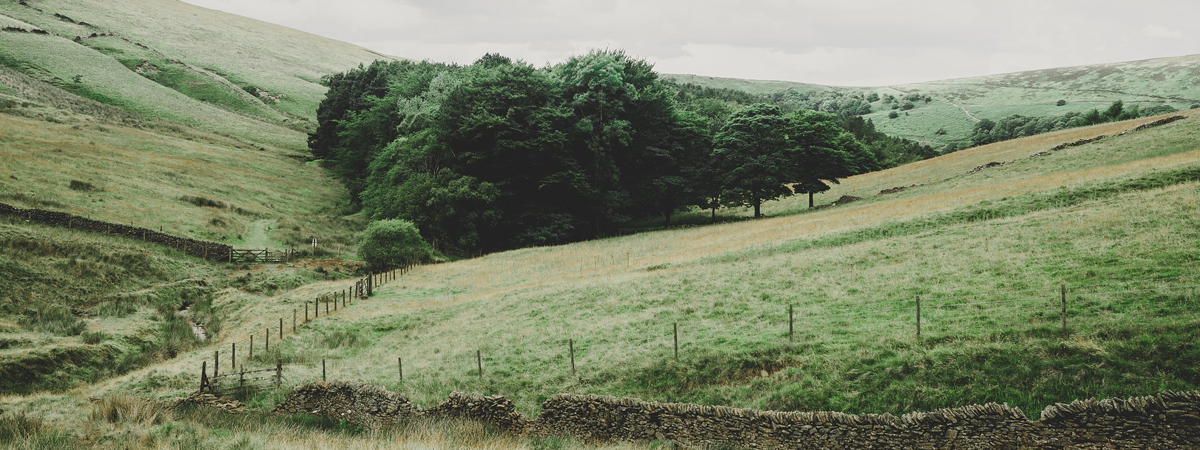 ทีมวิทยากร พช.ยโสธร เคลื่อนทัพดำเนินกิจกรรมตามโครงการฝึกอบรมการใช้งานโปรแกรมบันทึกและประมวลผลข้อมูล จปฐ.ปี 2559