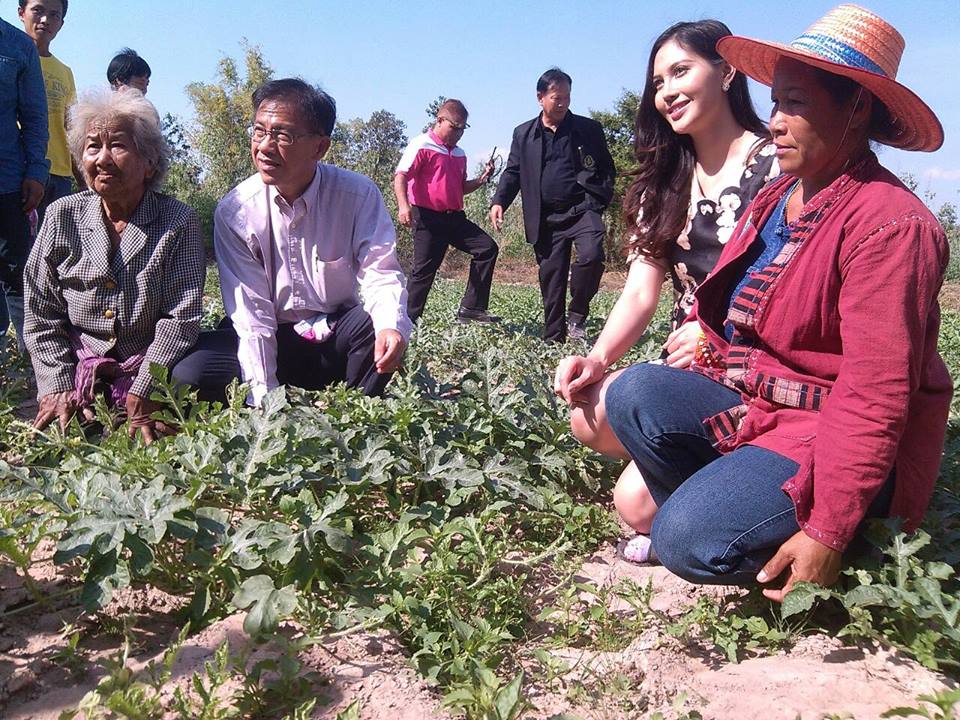 พช.ยโสธร เคลื่อนทัพเพื่อขับเคลื่อนยุทธศาสตร์พลังแผ่นดินเอาชนะยาเสพติดฯ ร่วมกับเครือข่ายกองทุนแม่ของแผ่นดินระดับอำเภอ ดำเนินกิจกรรมตามโครงการตรวจสุขภาพกองทุนแม่ของแผ่นดิน ประจำปี 2559