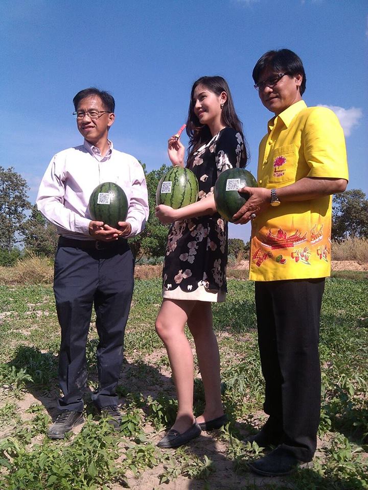 พช.ยโสธร เคลื่อนทัพเพื่อขับเคลื่อนยุทธศาสตร์พลังแผ่นดินเอาชนะยาเสพติดฯ ร่วมกับเครือข่ายกองทุนแม่ของแผ่นดินระดับอำเภอ ดำเนินกิจกรรมตามโครงการตรวจสุขภาพกองทุนแม่ของแผ่นดิน ประจำปี 2559