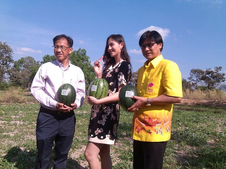 พช.ยโสธร เคลื่อนทัพเพื่อขับเคลื่อนยุทธศาสตร์พลังแผ่นดินเอาชนะยาเสพติดฯ ร่วมกับเครือข่ายกองทุนแม่ของแผ่นดินระดับอำเภอ ดำเนินกิจกรรมตามโครงการตรวจสุขภาพกองทุนแม่ของแผ่นดิน ประจำปี 2559