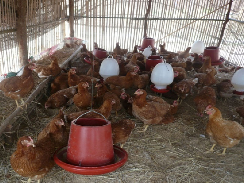 พิธีเปิดงานสัปดาห์วัสถาปนาจังหวัดยโสธรครบ 44 ปี และงานกาชาด จังหวัดยโสธร ประจำปี 2559