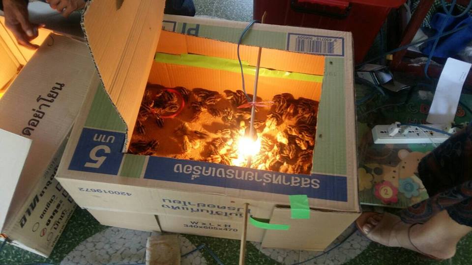 ทีมนิเทศข้อมูลพื้นฐาน จากกรมการพัฒนาชุมชน ลงพื้นที่ ตรวจติดตามการจัดเก็บข้อมูลพื้นฐาน ชุมชนหลังศาล ในเขตเทศบาลเมืองยโสธร