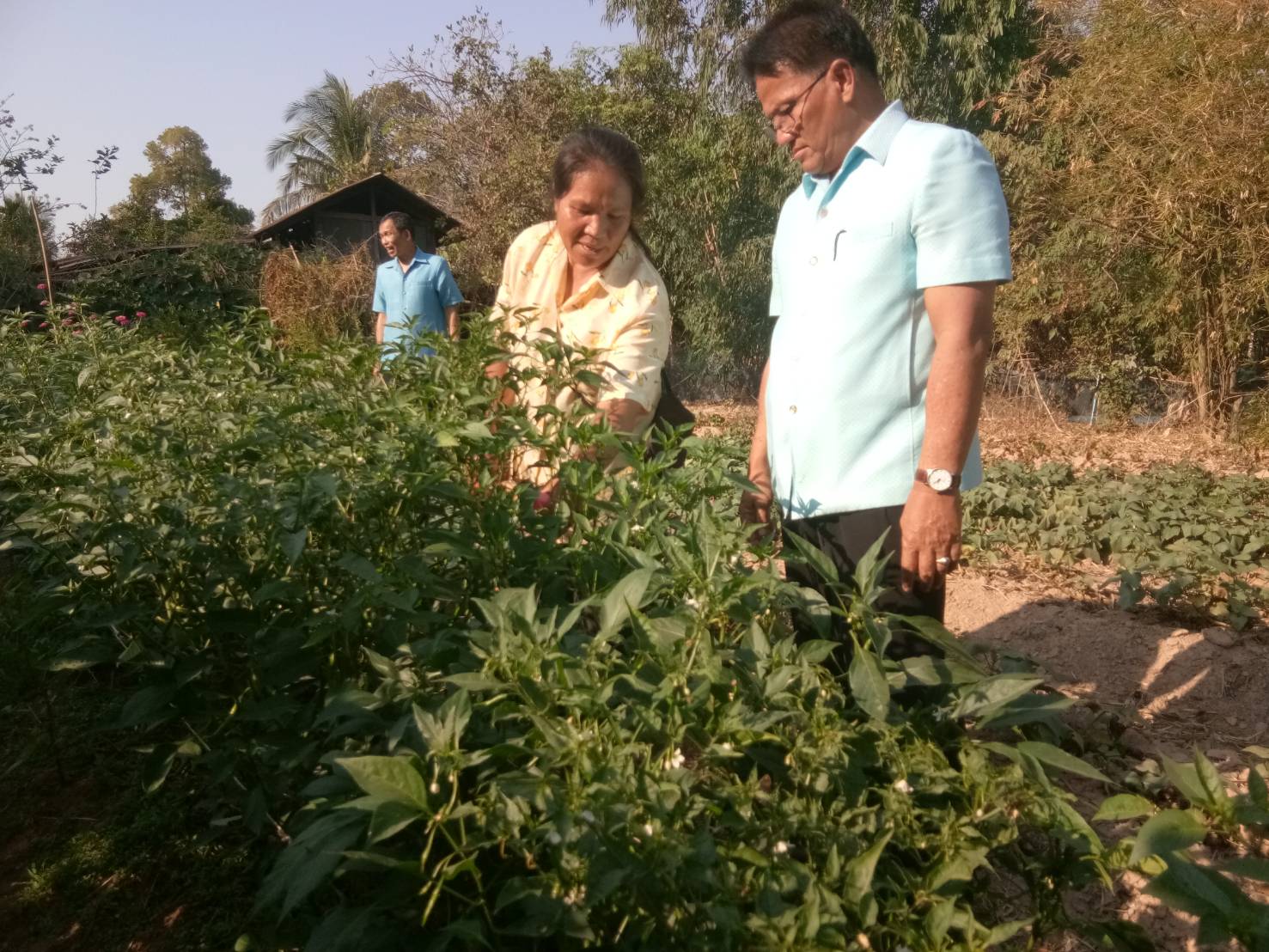 ยโสธร….ลงพื้นที่สำรวจศูนย์เรียนรู้เศรษฐกิจพอเพียง “สวนพ่อพอเพียง”