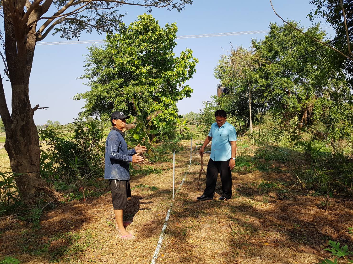 ยโสธร…ติดตามพื้นที่ดูงาน โคก หนอง นา โมเดล อำเภอค้อวัง