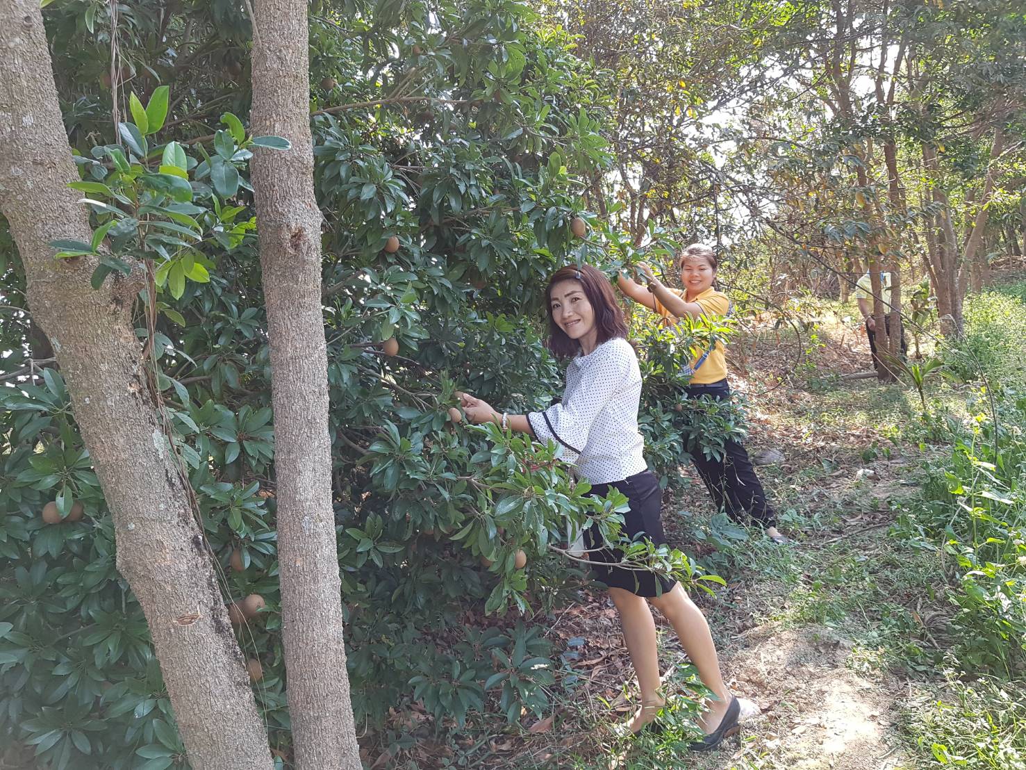 ยโสธร…ติดตามพื้นที่ดูงาน โคก หนอง นา โมเดล อำเภอค้อวัง