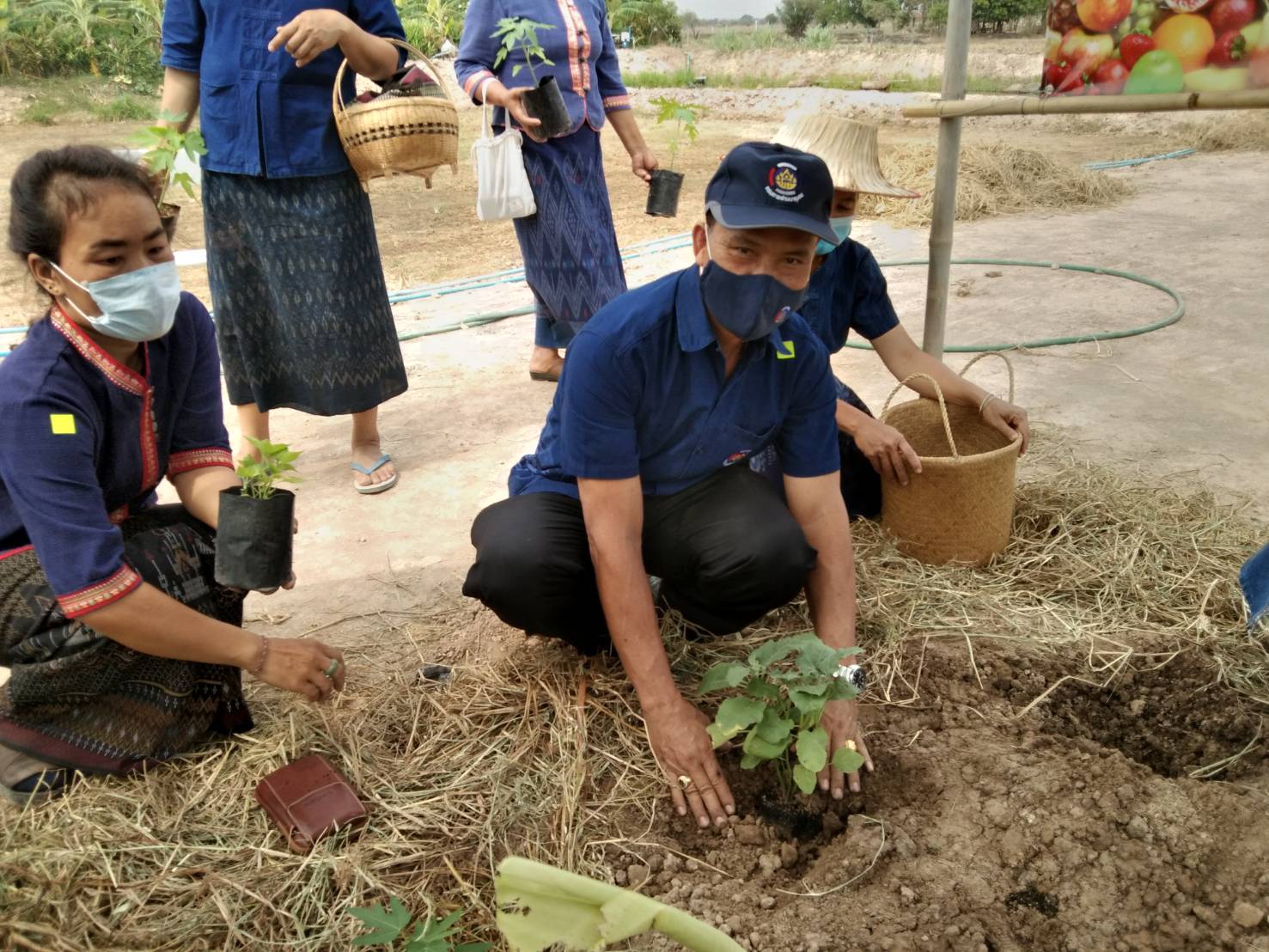 ยโสธร…Kick off สตรีแบ่งปันรัก ปลูกพืชผักปลอดภัย อำเภอป่าติ้ว จังหวัดยโสธร