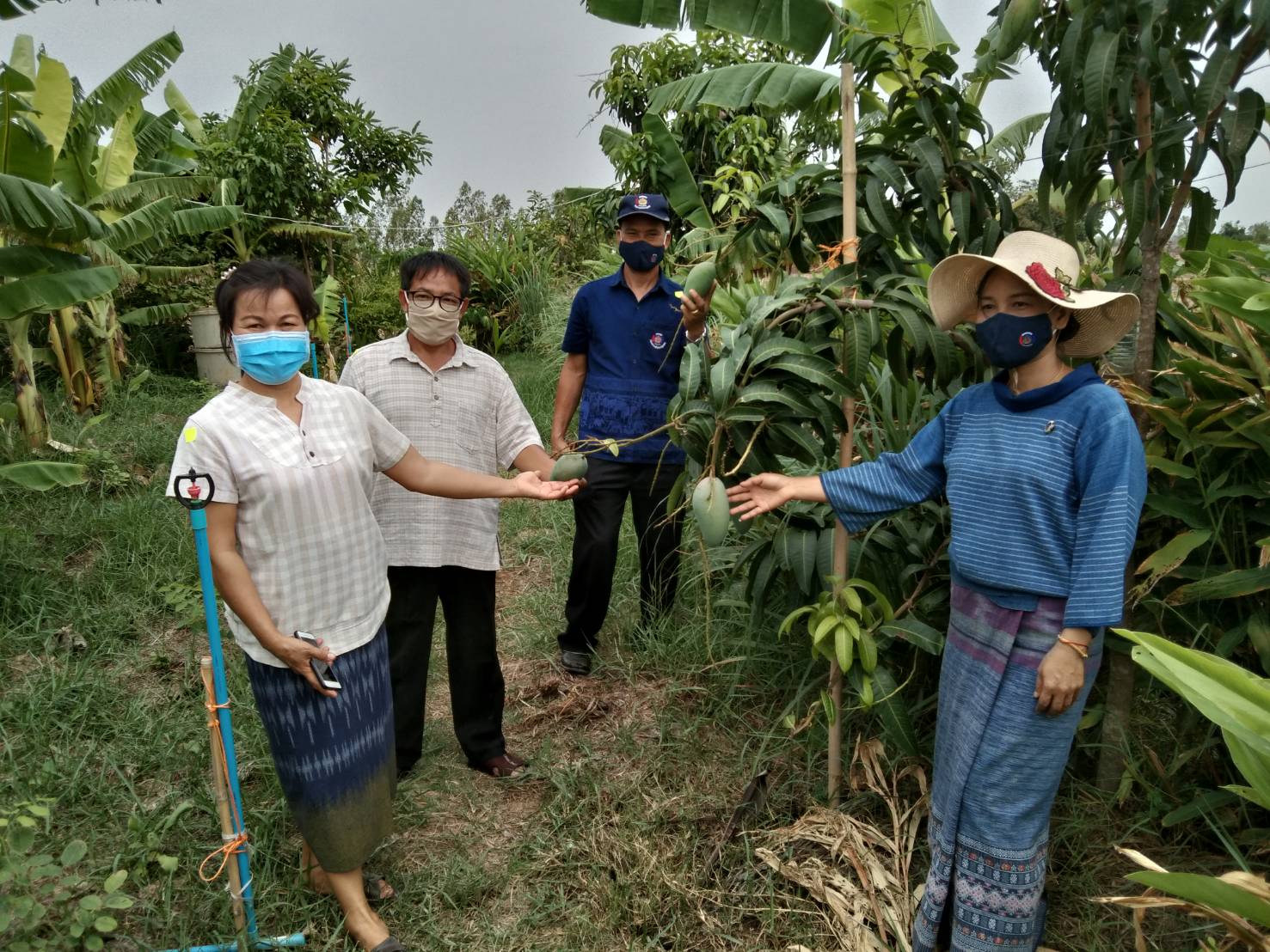 ยโสธร…Kick off สตรีแบ่งปันรัก ปลูกพืชผักปลอดภัย อำเภอป่าติ้ว จังหวัดยโสธร