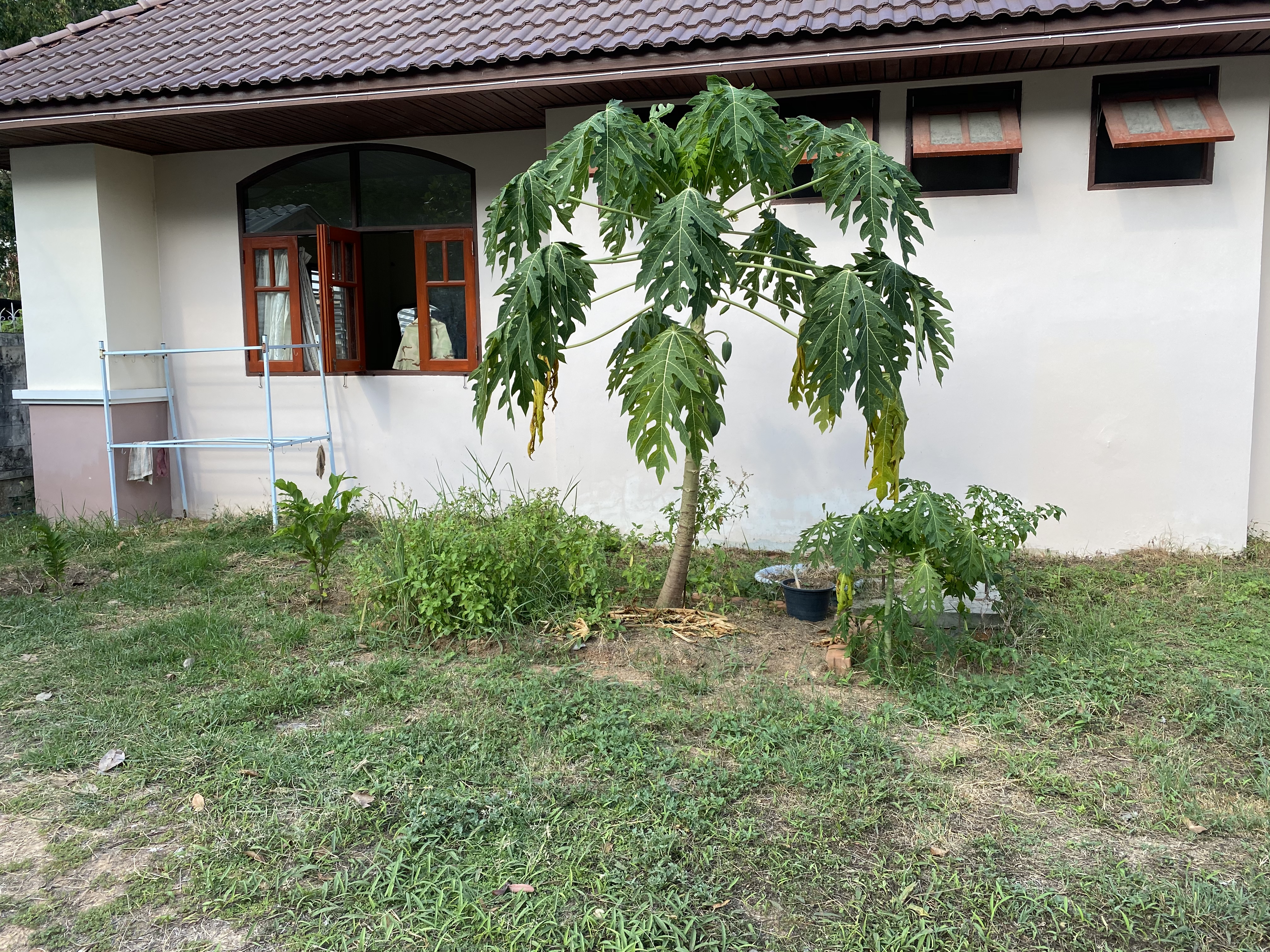 ยโสธร…เตรียมขับเคลื่อนปฏิบัติการ 90 วัน “ผู้นำต้องทำก่อน” ณ จวนผู้ว่าราชการจังหวัดยโสธร