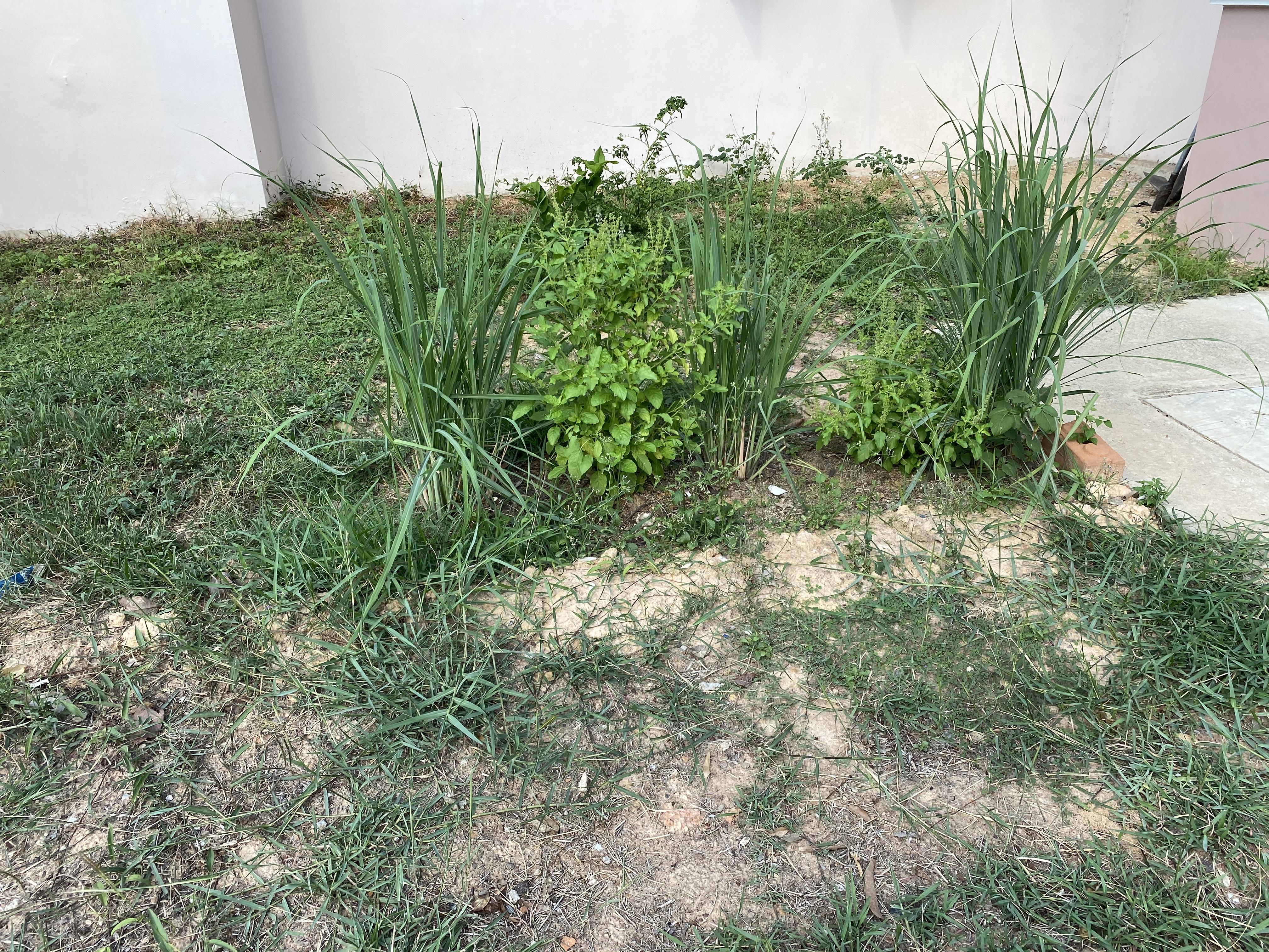 ยโสธร…เตรียมขับเคลื่อนปฏิบัติการ 90 วัน “ผู้นำต้องทำก่อน” ณ จวนผู้ว่าราชการจังหวัดยโสธร