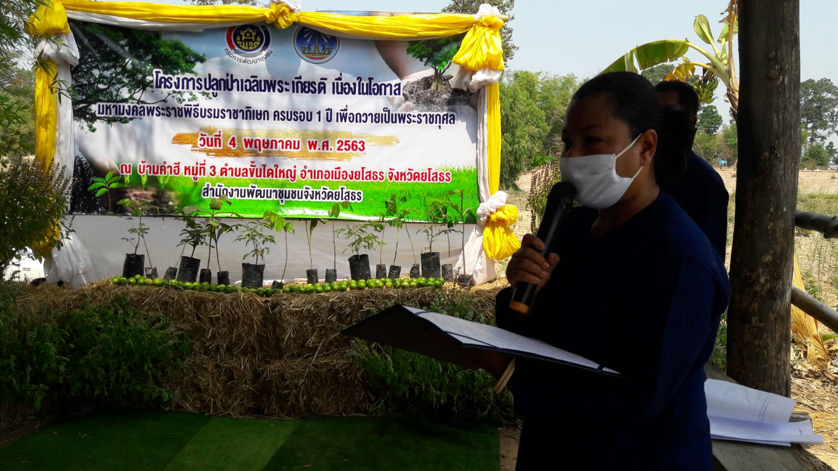 ยโสธร….ปลูกป่าเฉลิมพระเกียรติ ตามโครงการปลูกป่าเฉลิมพระเกียรติเนื่องในโอกาสมหามงคลพระราชพิธีบรมราชาภิเษก ครบรอบ 1 ปี เพื่อถวายเป็นพระราชกุศล