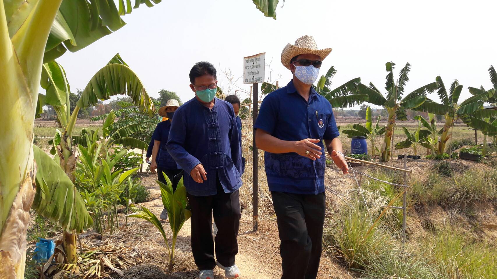 ยโสธร….ปลูกป่าเฉลิมพระเกียรติ ตามโครงการปลูกป่าเฉลิมพระเกียรติเนื่องในโอกาสมหามงคลพระราชพิธีบรมราชาภิเษก ครบรอบ 1 ปี เพื่อถวายเป็นพระราชกุศล