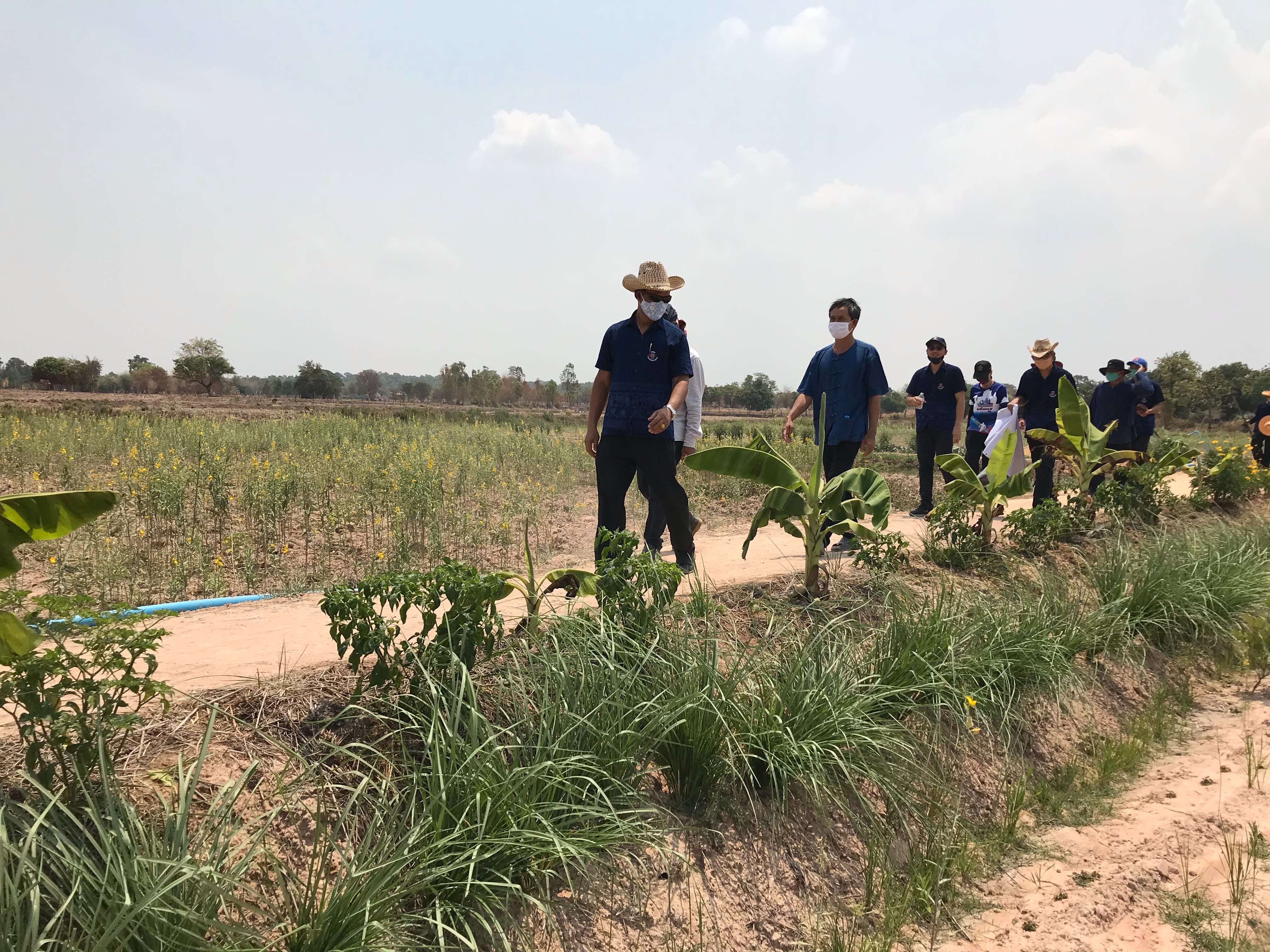 ยโสธร…เอามื้อ สามัคคี ตามโครงการ โคก หนอง นา โมเดล ณ แปลงนาต้นแบบ นางธีรนุช มะปรางค์