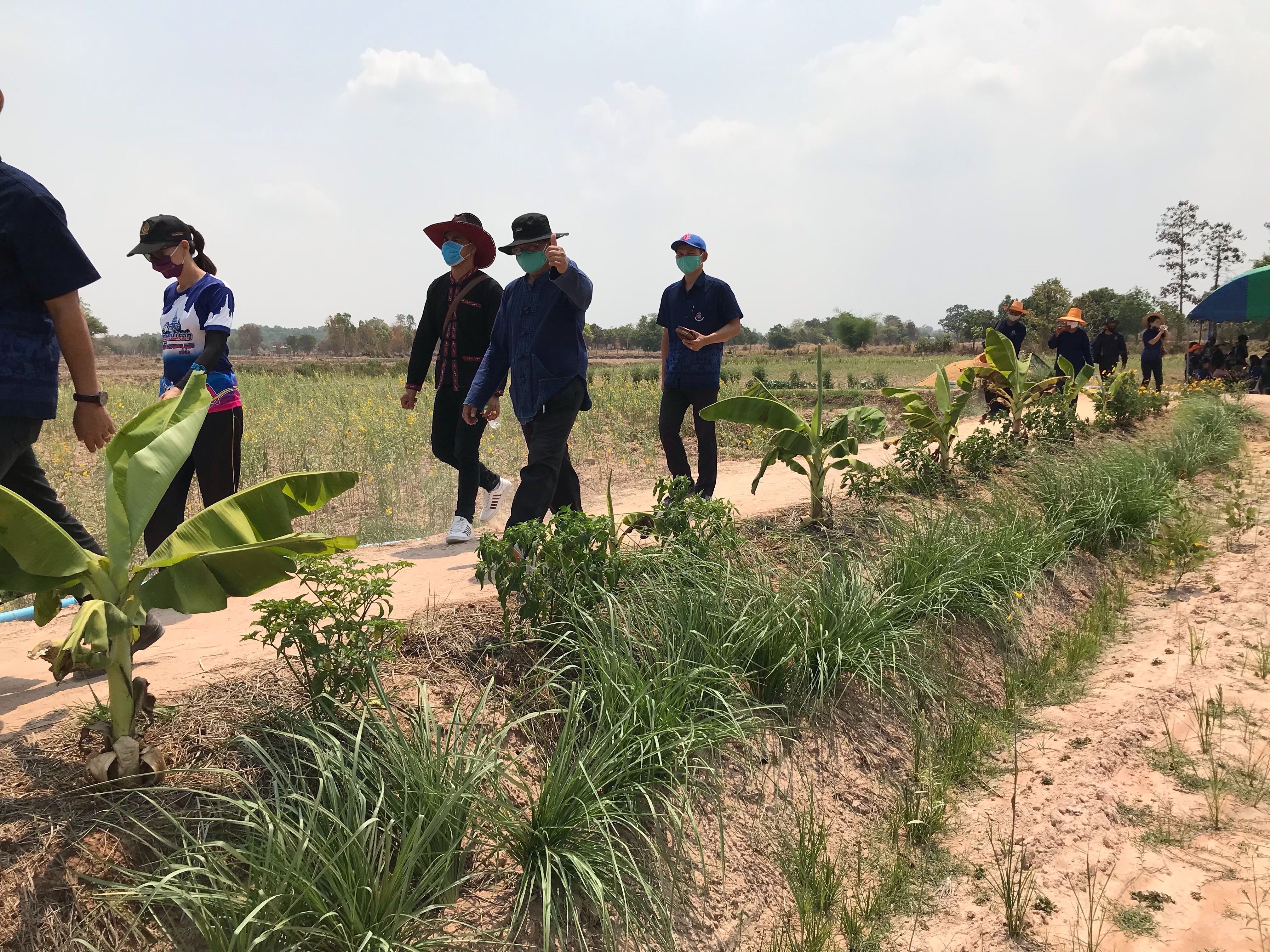 ยโสธร…เอามื้อ สามัคคี ตามโครงการ โคก หนอง นา โมเดล ณ แปลงนาต้นแบบ นางธีรนุช มะปรางค์