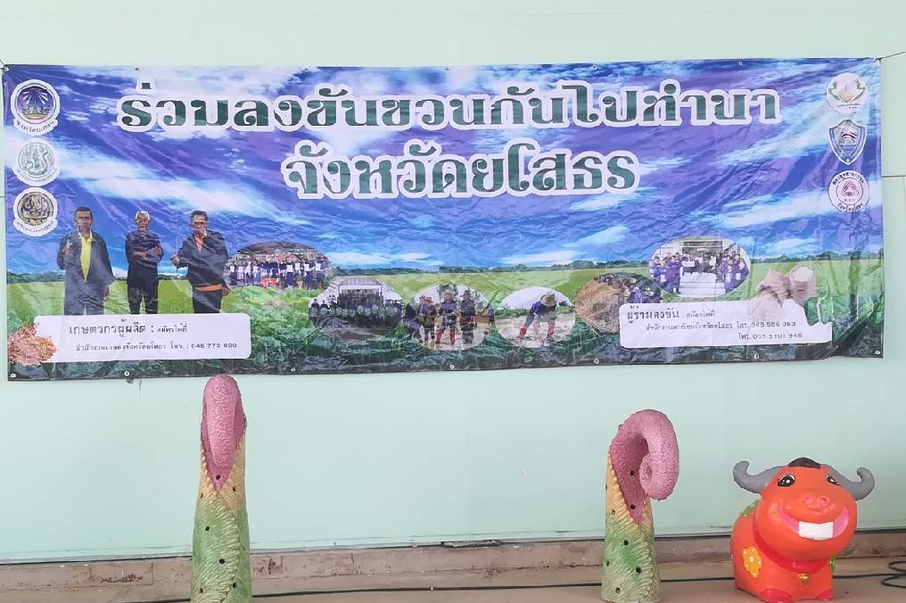 พช.ยโสธร….“ร่วมลงขัน ชวนกัน ไปทำนา”จังหวัดยโสธร