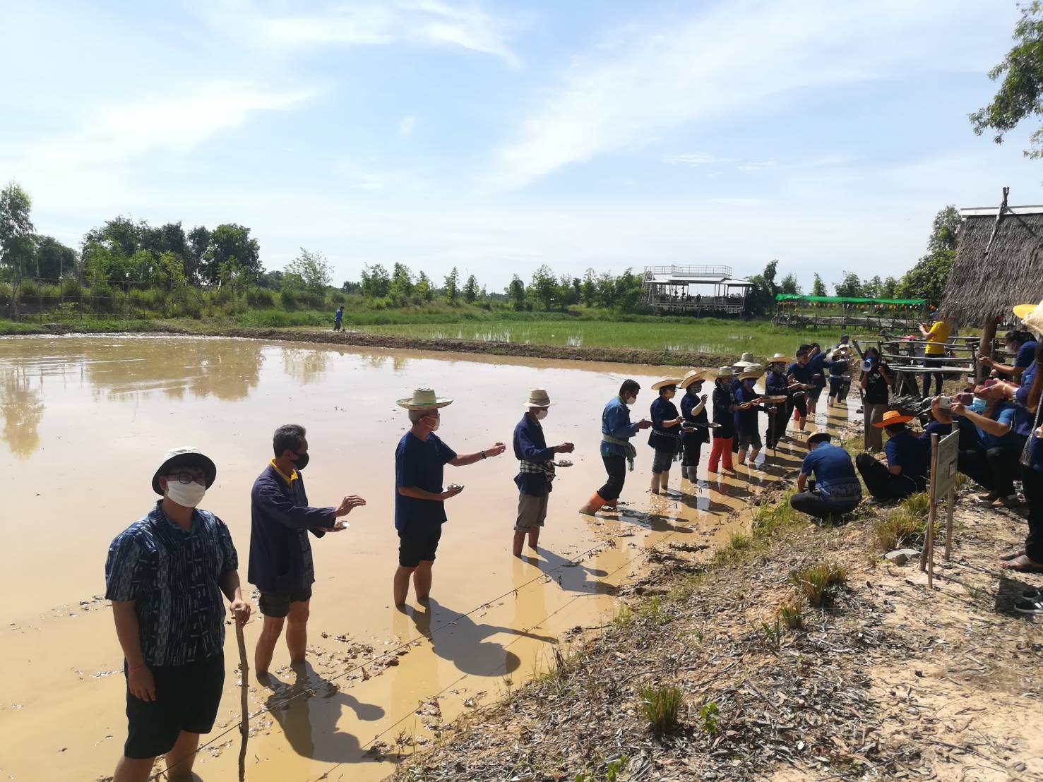 พช.ยโสธร….“ร่วมลงขัน ชวนกัน ไปทำนา”จังหวัดยโสธร