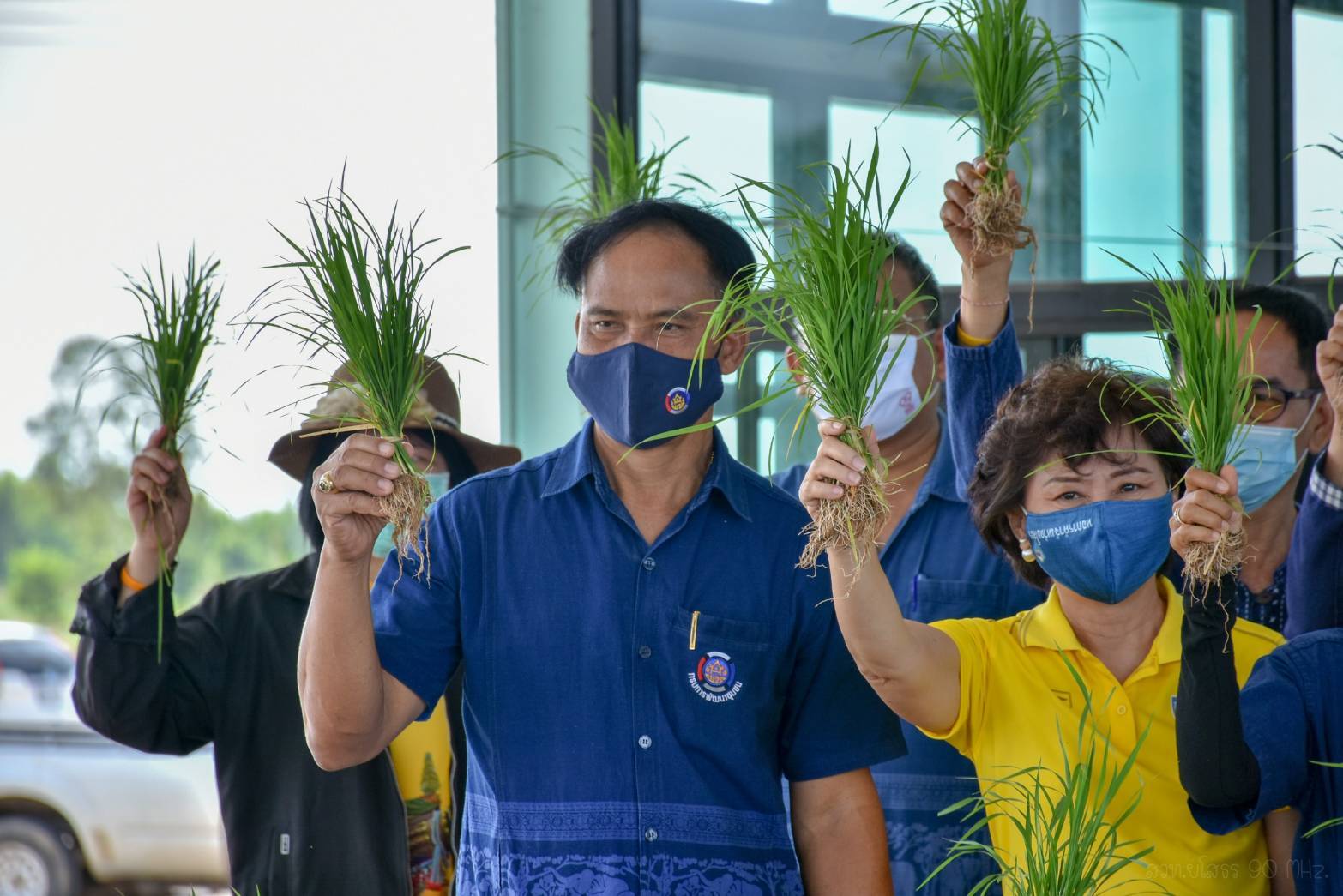พช.ยโสธร….“ร่วมลงขัน ชวนกัน ไปทำนา”จังหวัดยโสธร
