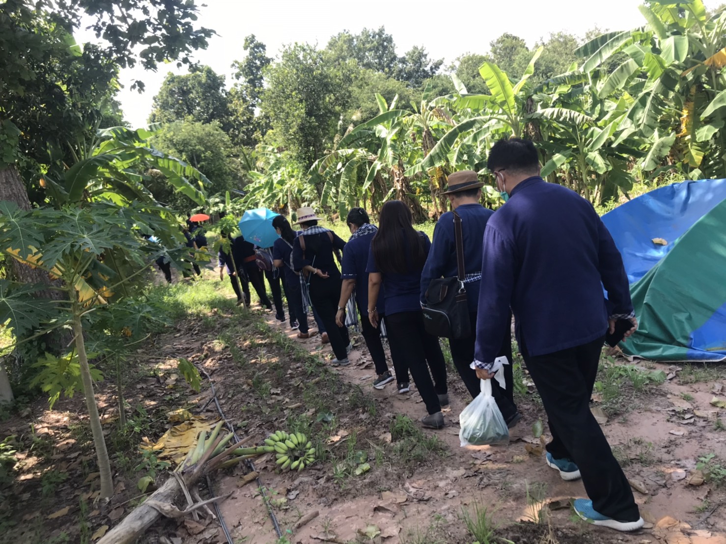 พช.ยโสธร จัดโครงการประชุมเชิงปฏิบัติการพัฒนาศักยภาพ  เจ้าหน้าที่พัฒนาชุมชนจังหวัดยโสธร ประจำปี 2563  โดยท่านพัฒนาการจังหวัดยโสธรได้มอบนโยบายเหลียวหลัง…แลหน้า งานพัฒนาชุมขน คนพช.ยโสธร ก้าวอย่างสู่ปีที่ 59 ประจำปี 256