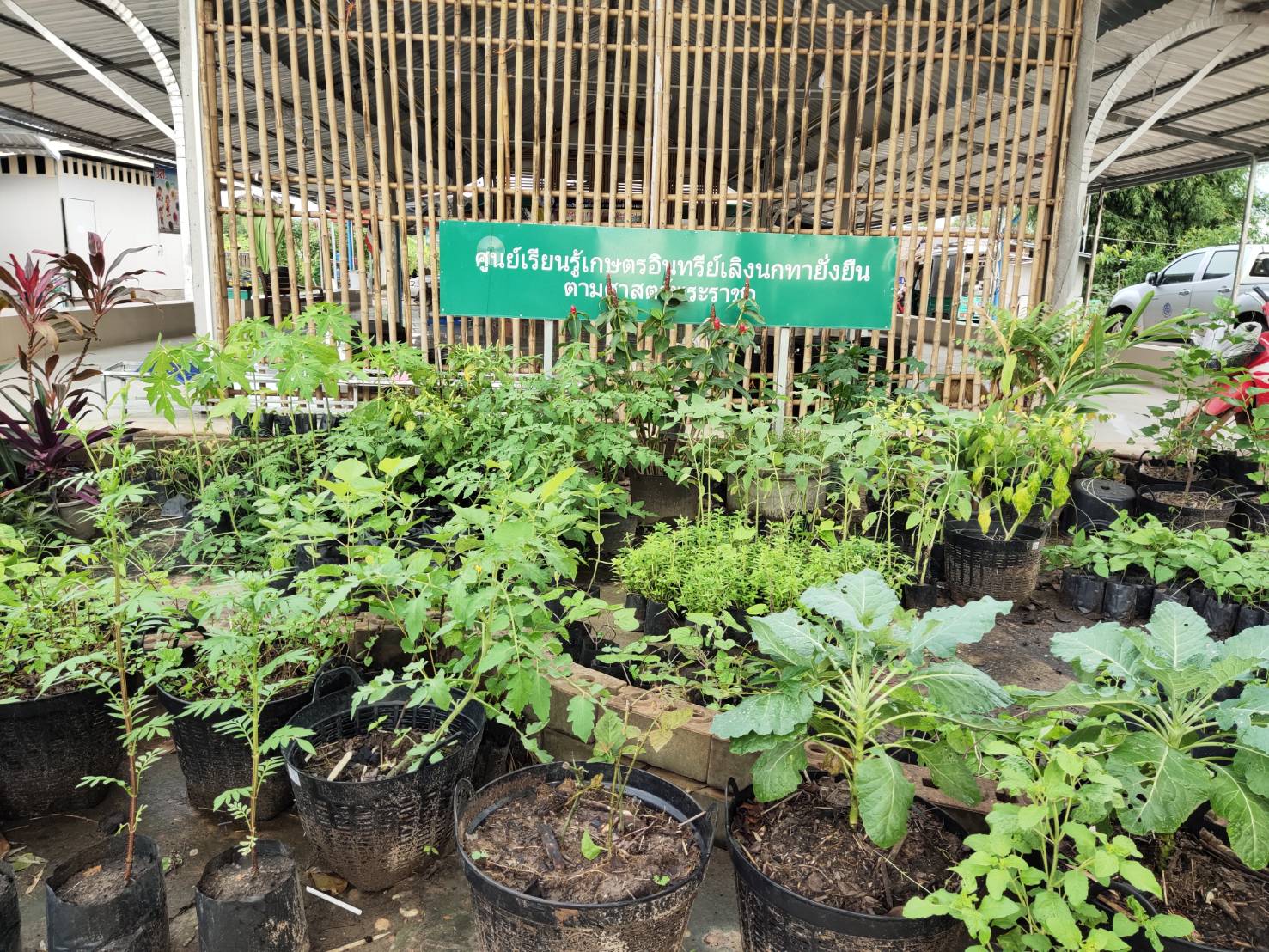 พจ.ยโสธร ร่วมเยี่ยมชมศูนย์เกษตรยั่งยืน  ศูนย์เรียนรู้เกษตรอินทรีย์เลิงนกทา  ยั่งยืนตามศาสตร์พระราชา