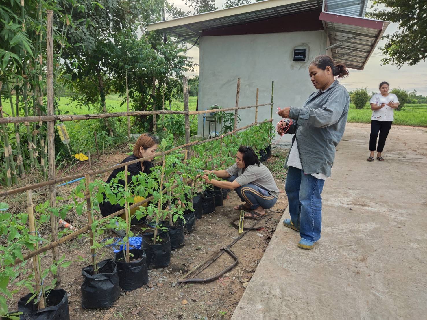 พจ.ยโสธร ร่วมเยี่ยมชมศูนย์เกษตรยั่งยืน  ศูนย์เรียนรู้เกษตรอินทรีย์เลิงนกทา  ยั่งยืนตามศาสตร์พระราชา