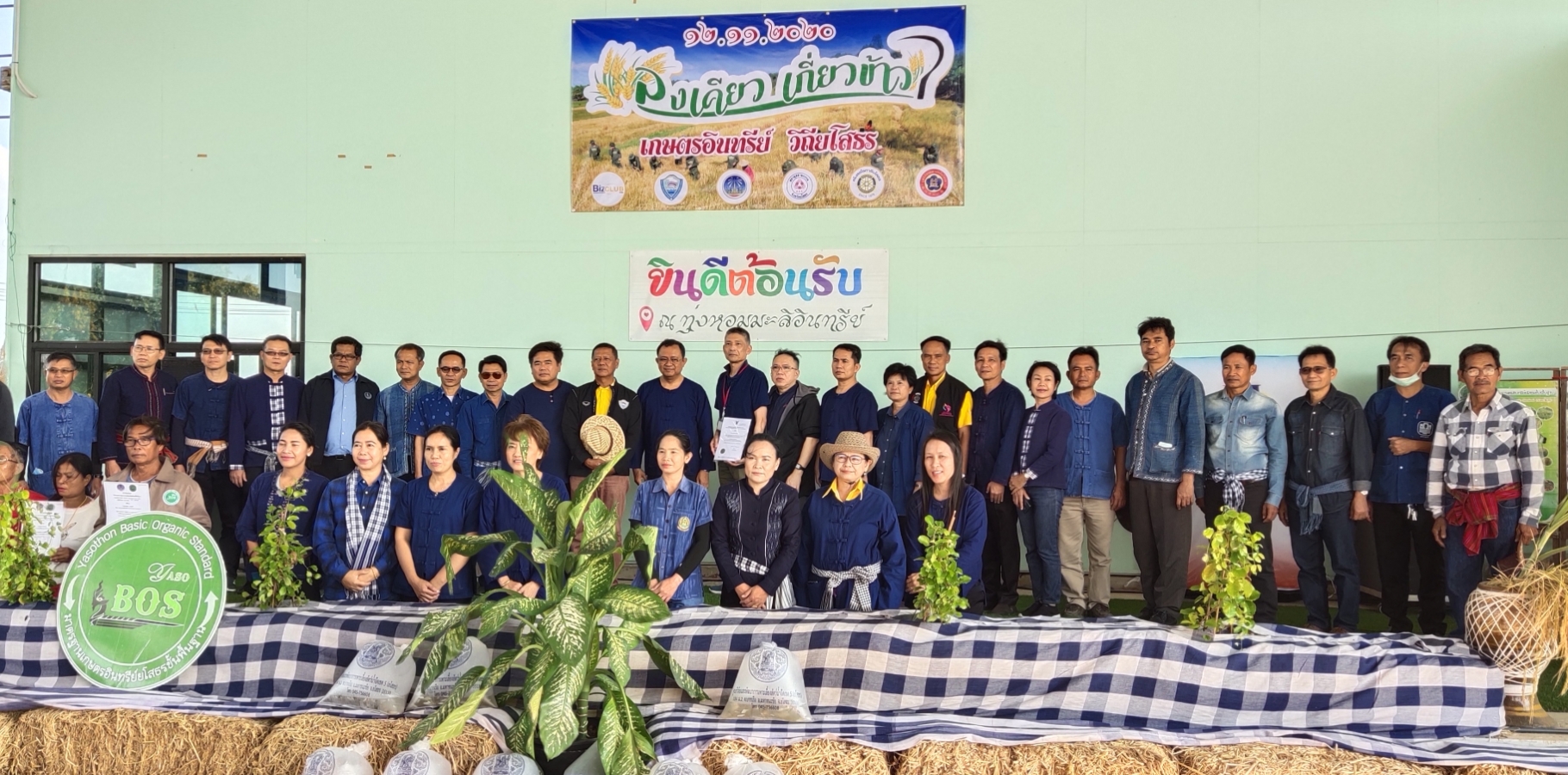 พจ.ยโสธร ร่วมกิจกรรมลงเคียว เกี่ยวข้าว ปี 2563