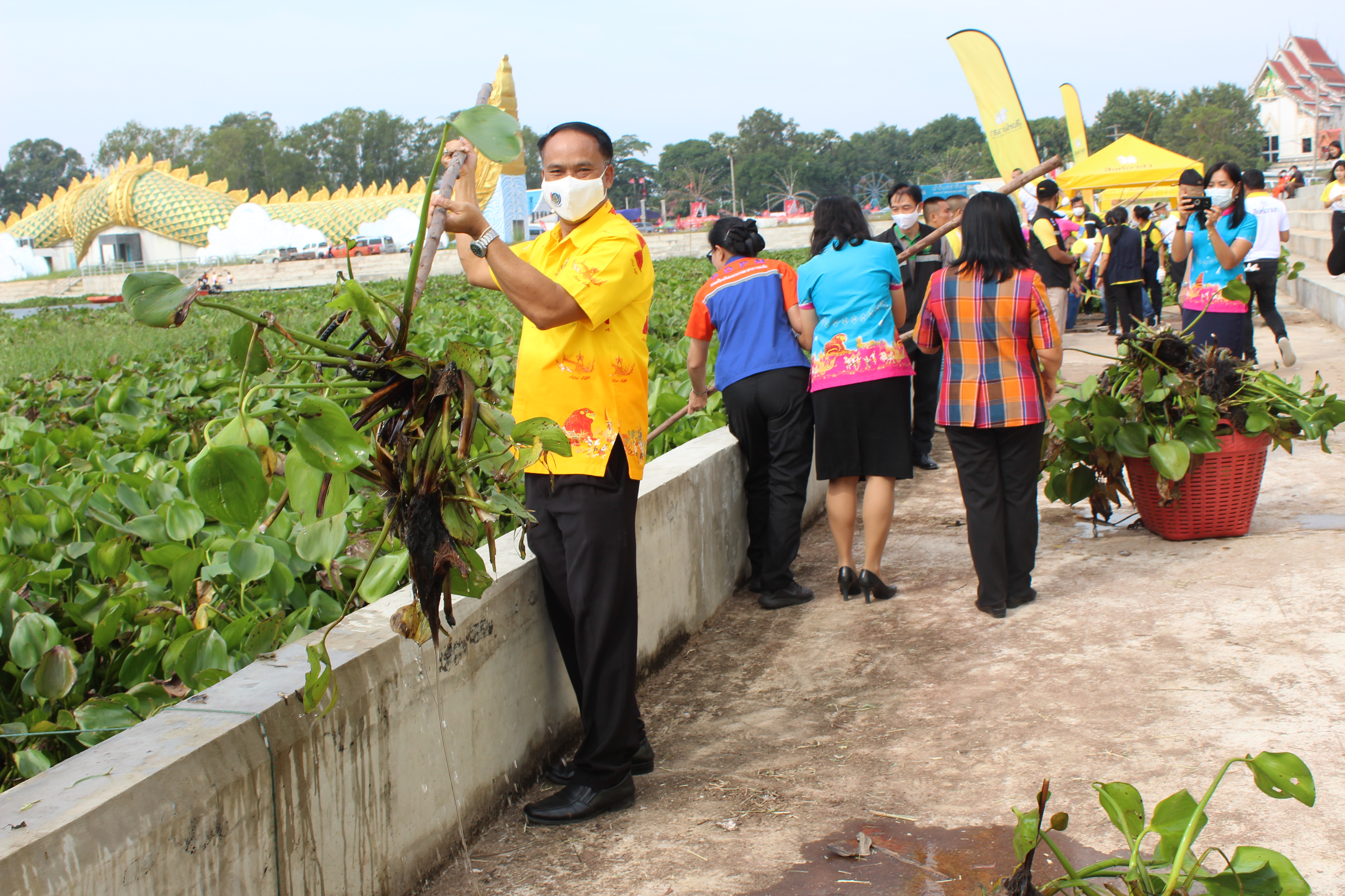 พจ.ยโสธร ร่วมกิจกรรมสิงห์อาสาสู้น้ำท่วมปรับภูมิทัศน์ แหล่งท่องเที่ยว(กิจกรรมเก็บผักตบชวา)