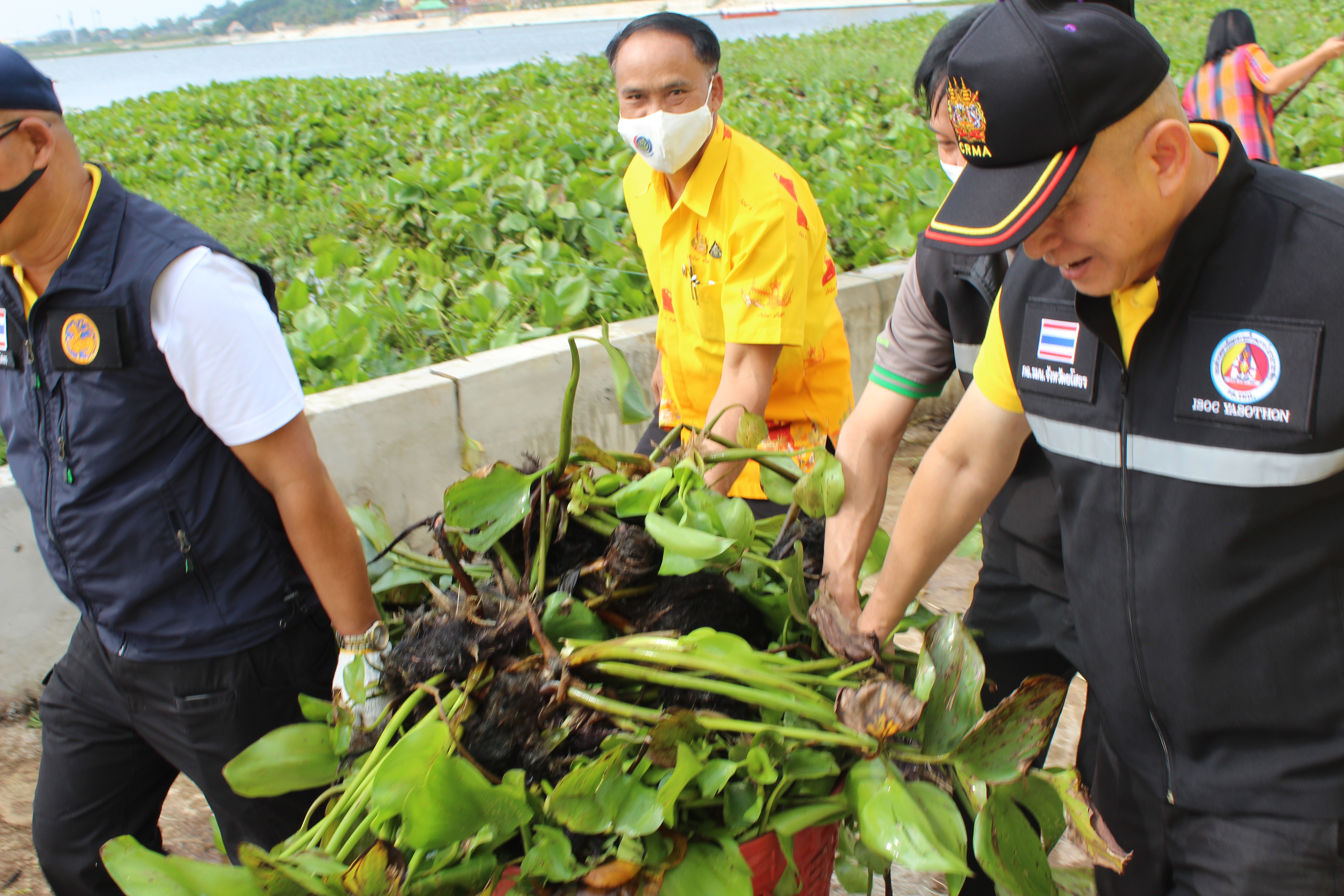 พจ.ยโสธร ร่วมกิจกรรมสิงห์อาสาสู้น้ำท่วมปรับภูมิทัศน์ แหล่งท่องเที่ยว(กิจกรรมเก็บผักตบชวา)