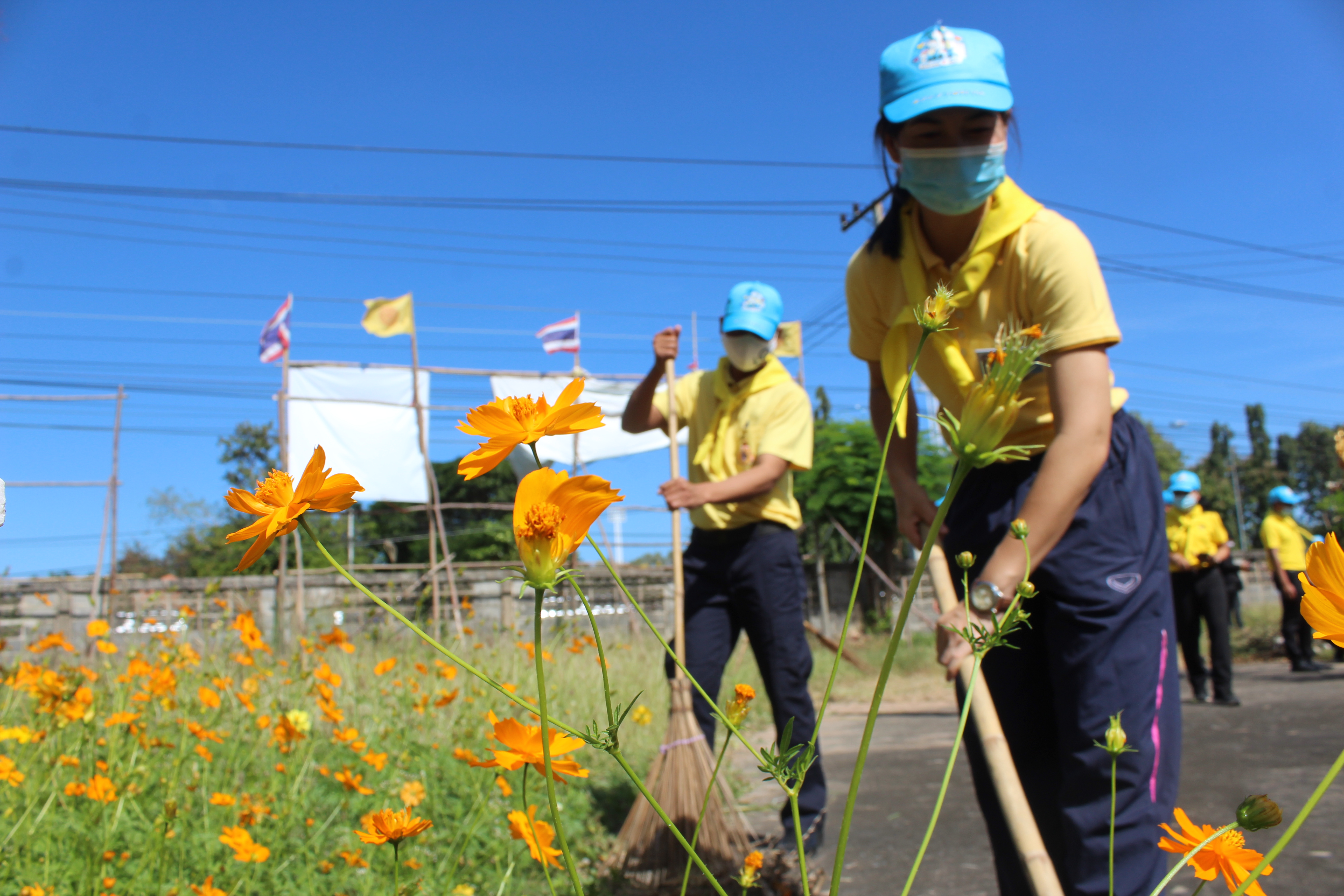 พช.ยโสธร  เข้าร่วมกิจกรรมจิตอาสาพัฒนา เนื่องในวันพระบาทสมเด็จ พระมงกุฎเกล้าเจ้าอยู่หัว