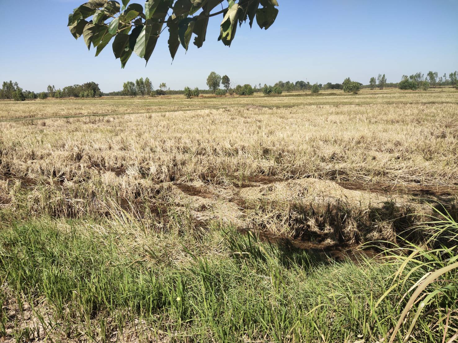 พจ.ยโสธร ลงพื้นที่อำเภอค้อวัง เพื่อติดตามการดำเนินงานและร่วม พบปะ ให้คำแนะนำ ในการขับเคลื่อนโครงการ “โคก หนอง นา โมเดล”