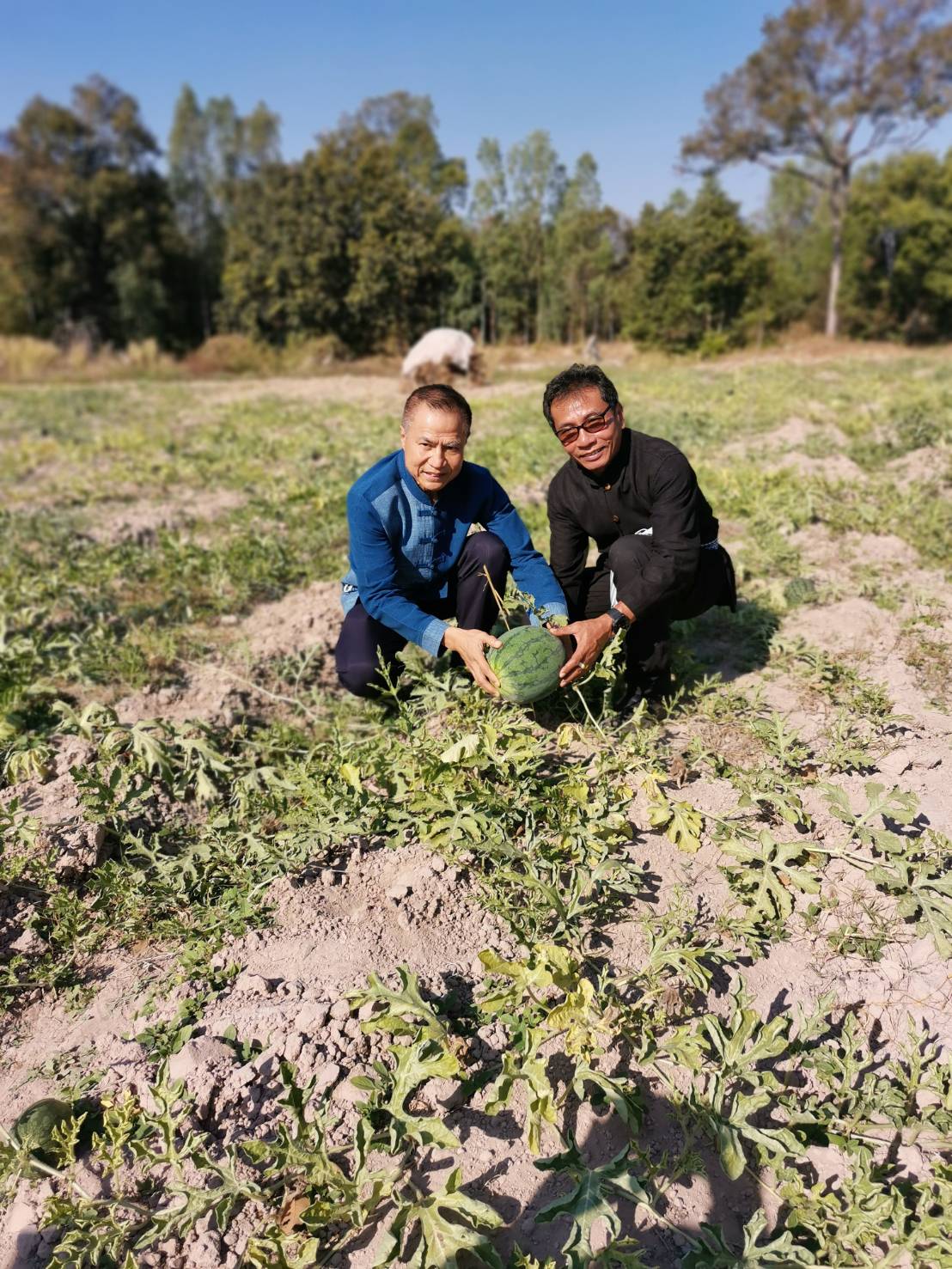 นายสันติ เหล่าบุญเสงี่ยม  ผู้ตรวจราชการกระทรวงมหาดไทย  เขตตรวจราชการที่ 14 และ พช.ยโสธร ลงพื้นที่เยี่ยมชมกลุ่มเกษตรกรรมยั่งยืนบ้านเหล่าฝ้าย