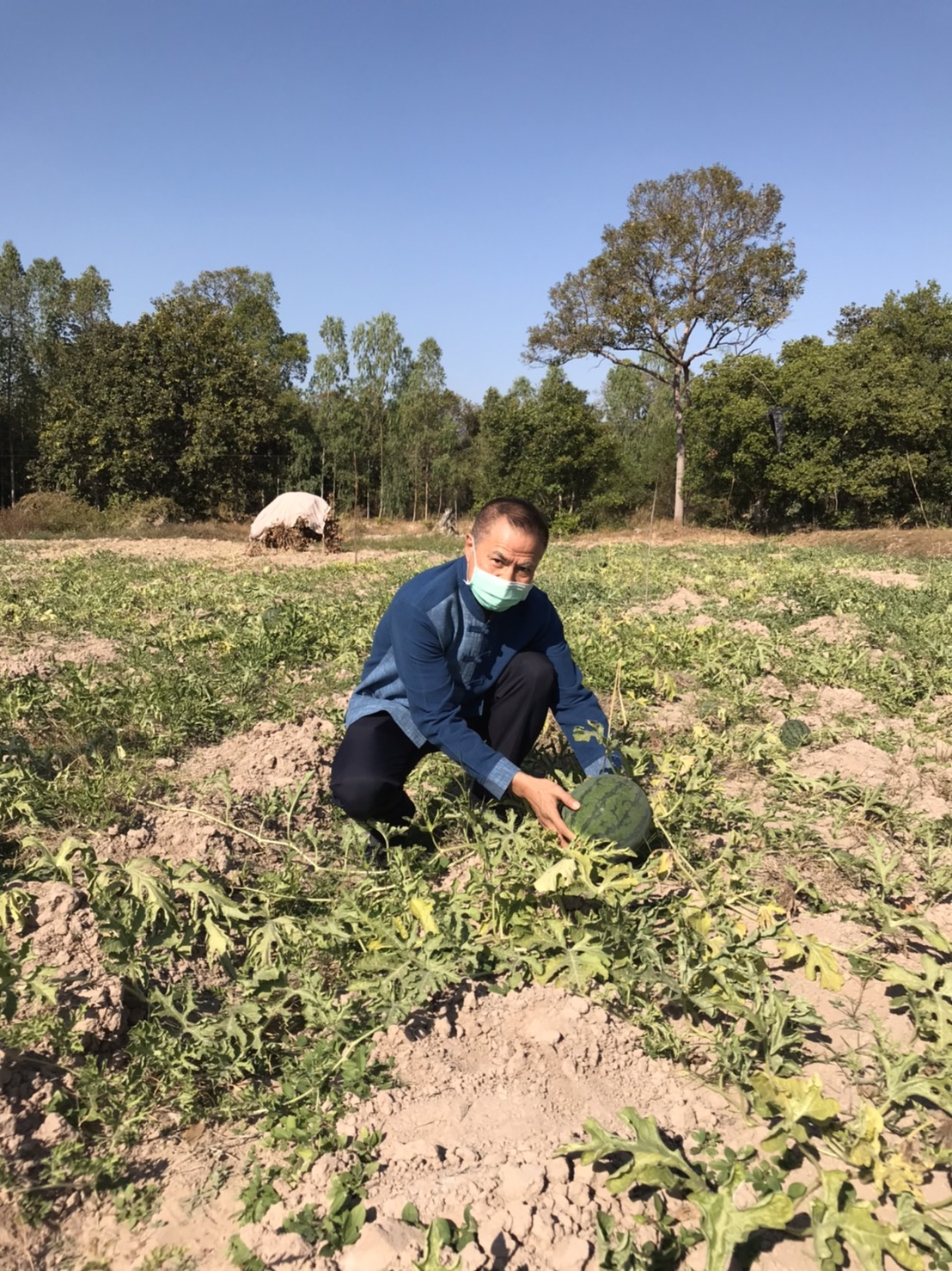 นายสันติ เหล่าบุญเสงี่ยม  ผู้ตรวจราชการกระทรวงมหาดไทย  เขตตรวจราชการที่ 14 และ พช.ยโสธร ลงพื้นที่เยี่ยมชมกลุ่มเกษตรกรรมยั่งยืนบ้านเหล่าฝ้าย