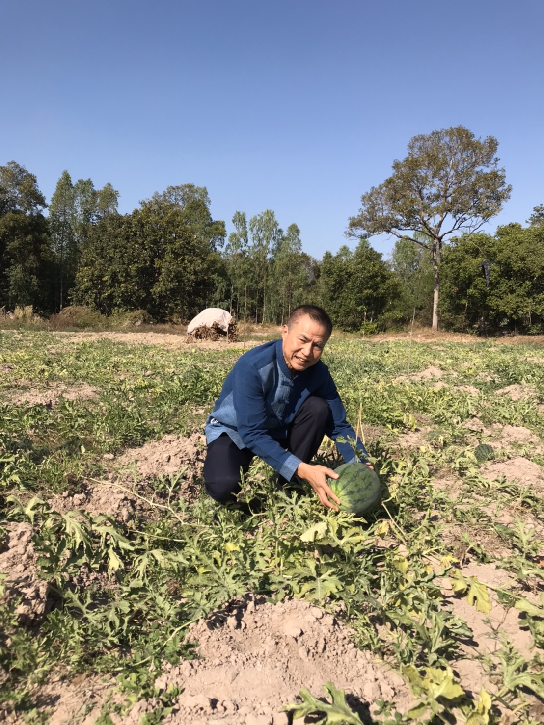 นายสันติ เหล่าบุญเสงี่ยม  ผู้ตรวจราชการกระทรวงมหาดไทย  เขตตรวจราชการที่ 14 และ พช.ยโสธร ลงพื้นที่เยี่ยมชมกลุ่มเกษตรกรรมยั่งยืนบ้านเหล่าฝ้าย