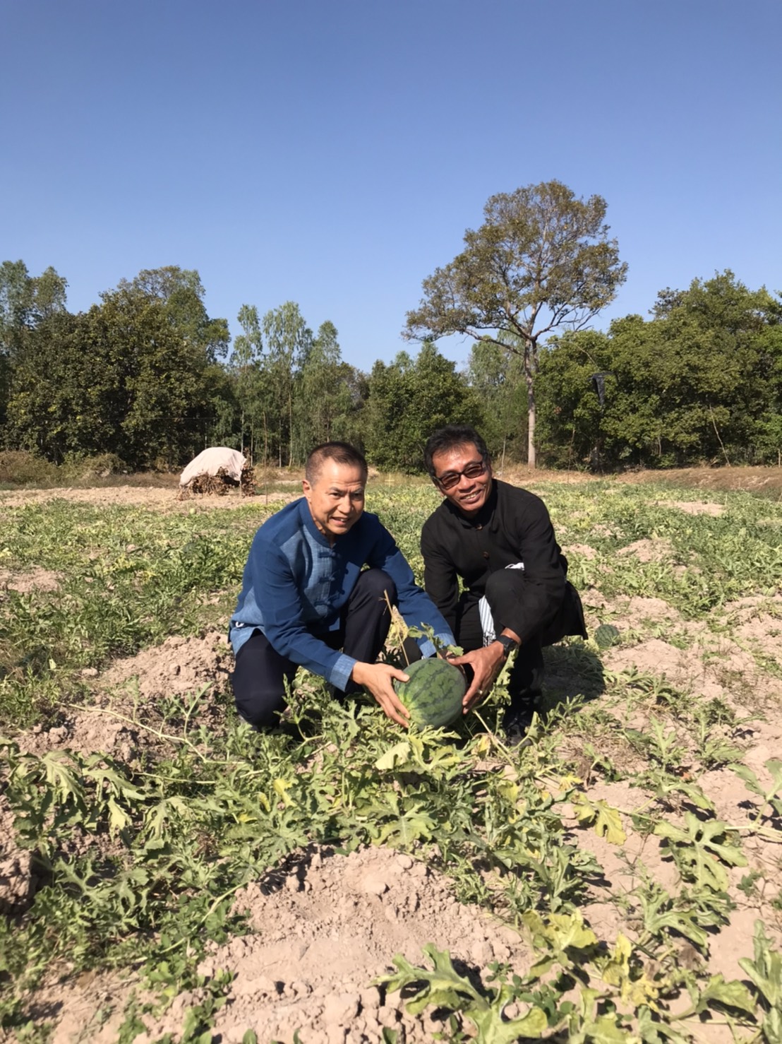 นายสันติ เหล่าบุญเสงี่ยม  ผู้ตรวจราชการกระทรวงมหาดไทย  เขตตรวจราชการที่ 14 และ พช.ยโสธร ลงพื้นที่เยี่ยมชมกลุ่มเกษตรกรรมยั่งยืนบ้านเหล่าฝ้าย