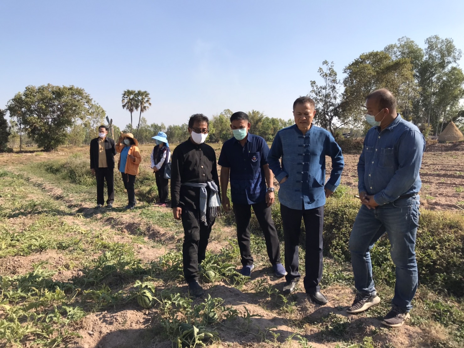 นายสันติ เหล่าบุญเสงี่ยม  ผู้ตรวจราชการกระทรวงมหาดไทย  เขตตรวจราชการที่ 14 และ พช.ยโสธร ลงพื้นที่เยี่ยมชมกลุ่มเกษตรกรรมยั่งยืนบ้านเหล่าฝ้าย