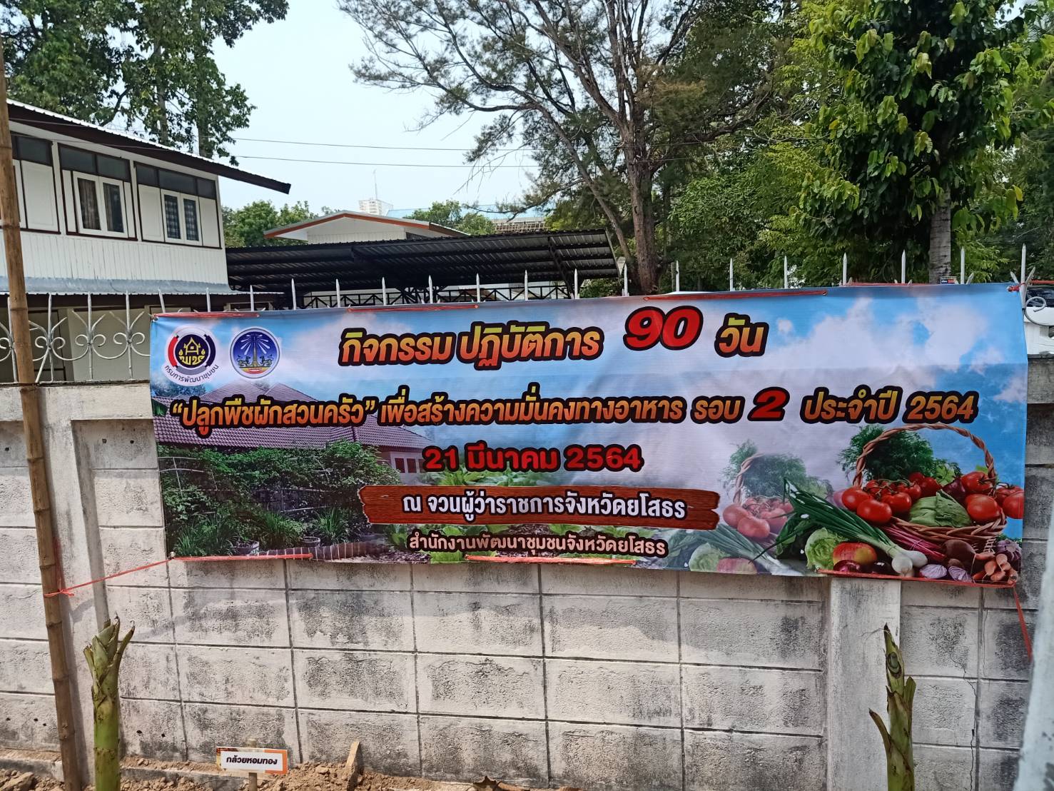 พ่อเมืองยโสธร พร้อมด้วยนายกเหล่ากาชาดจังหวัดยโสธร นำทีม พช.ยโสธร ปฏิบัติการ 90 วัน “ปลูกผักสวนครัวเพื่อสร้างความมั่นคงทางอาหาร” รอบ 2 ณ จวนผู้ว่าราชการจังหวัดยโสธร