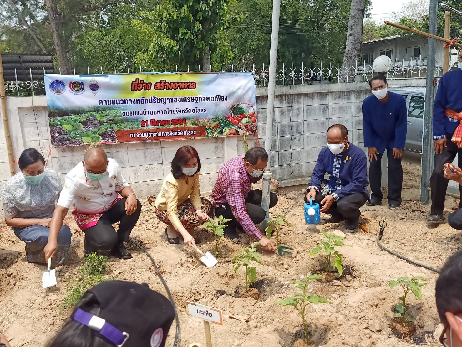 พ่อเมืองยโสธร พร้อมด้วยนายกเหล่ากาชาดจังหวัดยโสธร นำทีม พช.ยโสธร ปฏิบัติการ 90 วัน “ปลูกผักสวนครัวเพื่อสร้างความมั่นคงทางอาหาร” รอบ 2 ณ จวนผู้ว่าราชการจังหวัดยโสธร
