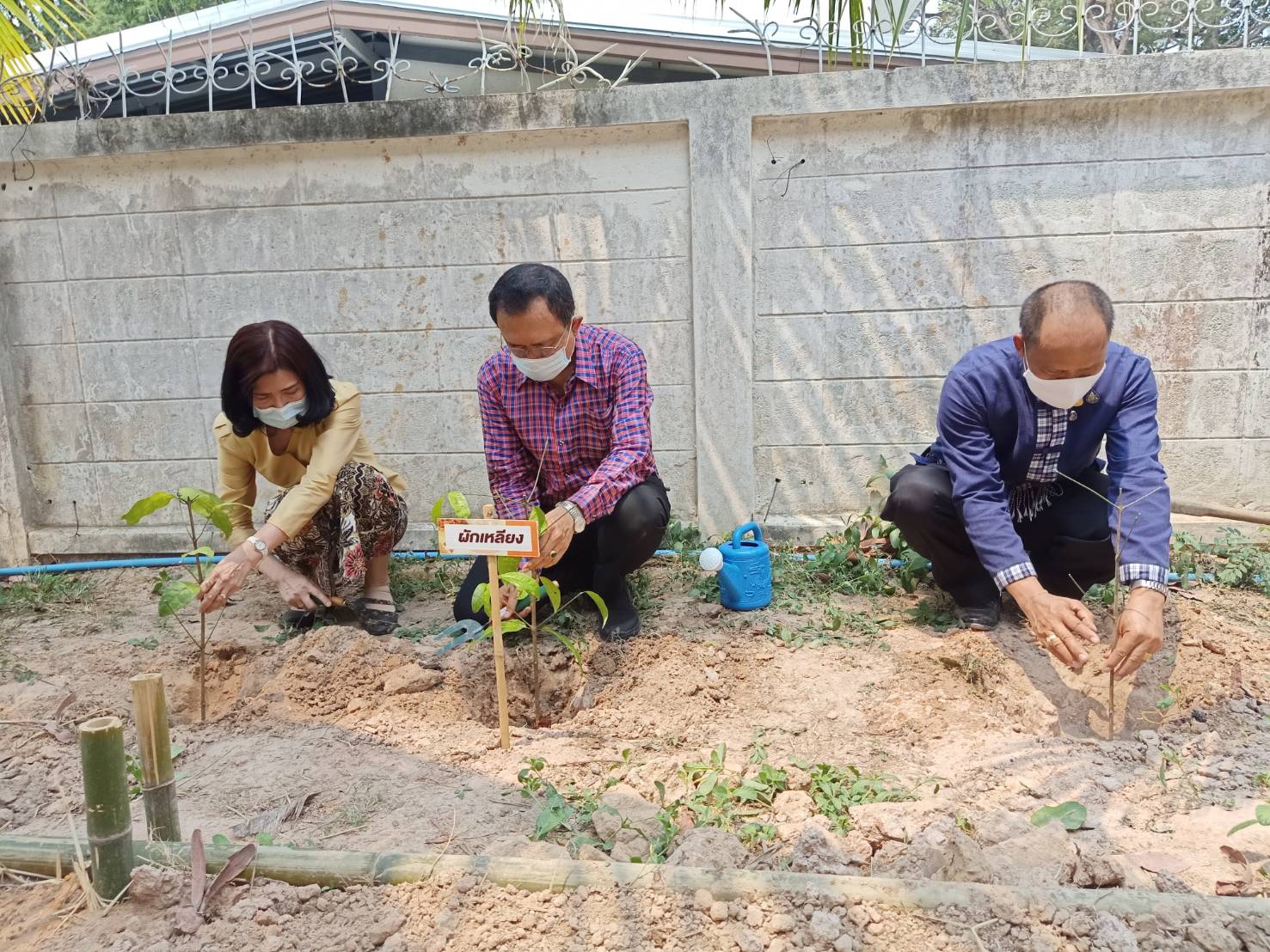 พ่อเมืองยโสธร พร้อมด้วยนายกเหล่ากาชาดจังหวัดยโสธร นำทีม พช.ยโสธร ปฏิบัติการ 90 วัน “ปลูกผักสวนครัวเพื่อสร้างความมั่นคงทางอาหาร” รอบ 2 ณ จวนผู้ว่าราชการจังหวัดยโสธร