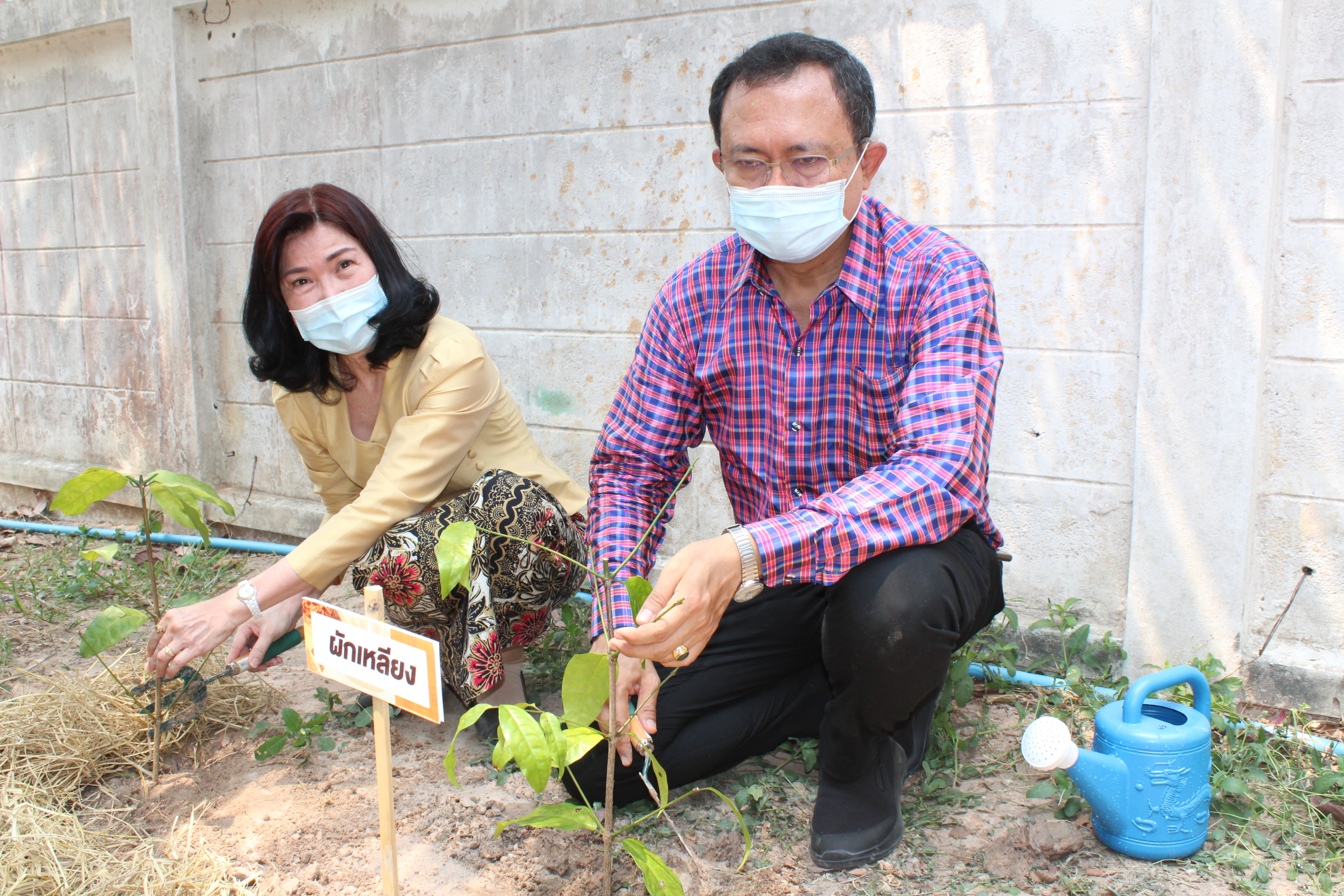 พ่อเมืองยโสธร พร้อมด้วยนายกเหล่ากาชาดจังหวัดยโสธร นำทีม พช.ยโสธร ปฏิบัติการ 90 วัน “ปลูกผักสวนครัวเพื่อสร้างความมั่นคงทางอาหาร” รอบ 2 ณ จวนผู้ว่าราชการจังหวัดยโสธร