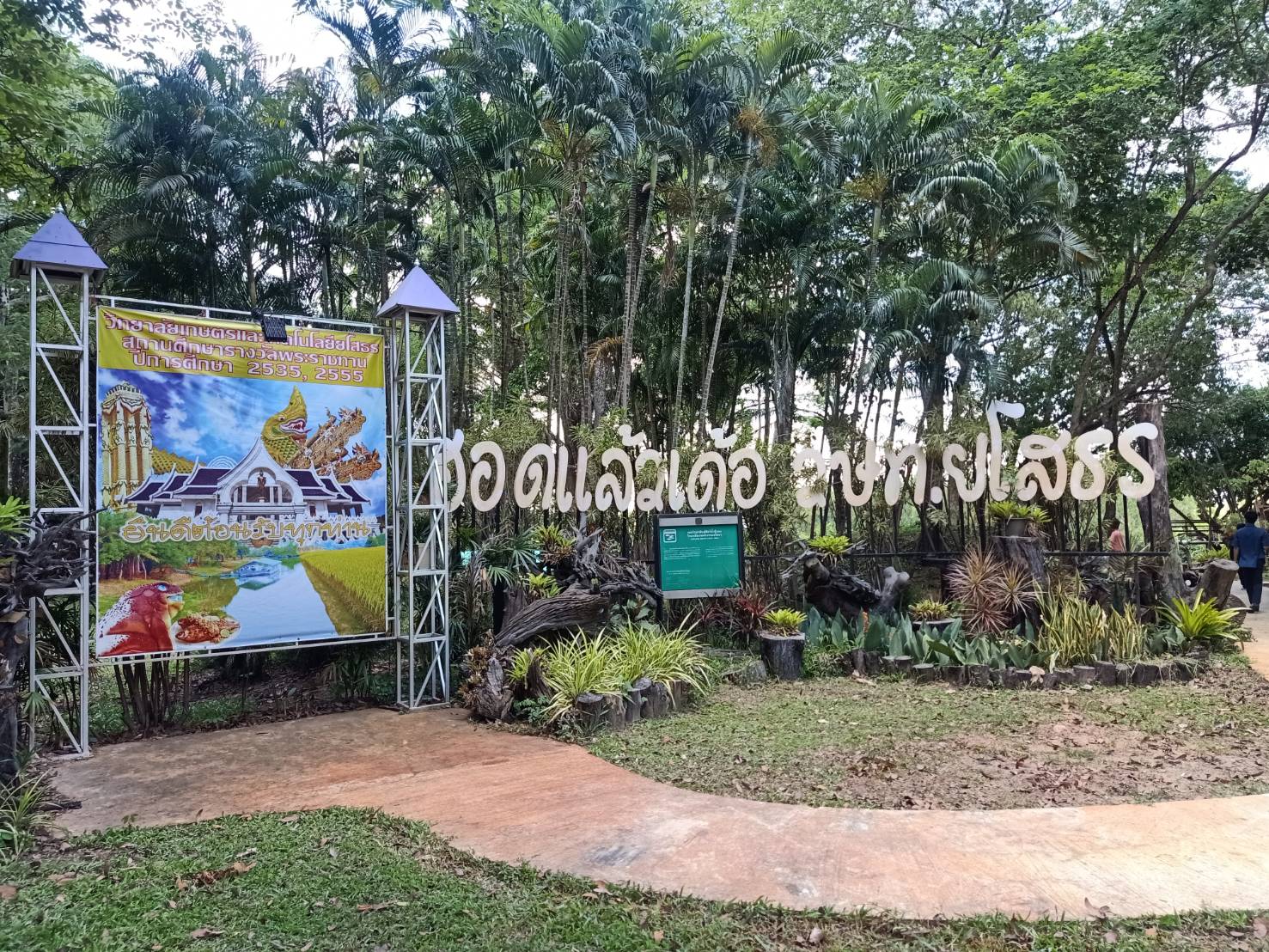 พช.ยโสธร  พัฒนาการจังหวัดยโสธรร่วมงานคัดเลือกผู้ขอรับทุนนวัตกรรมสายอาชีพชั้นสูงและปลูกต้นไม้