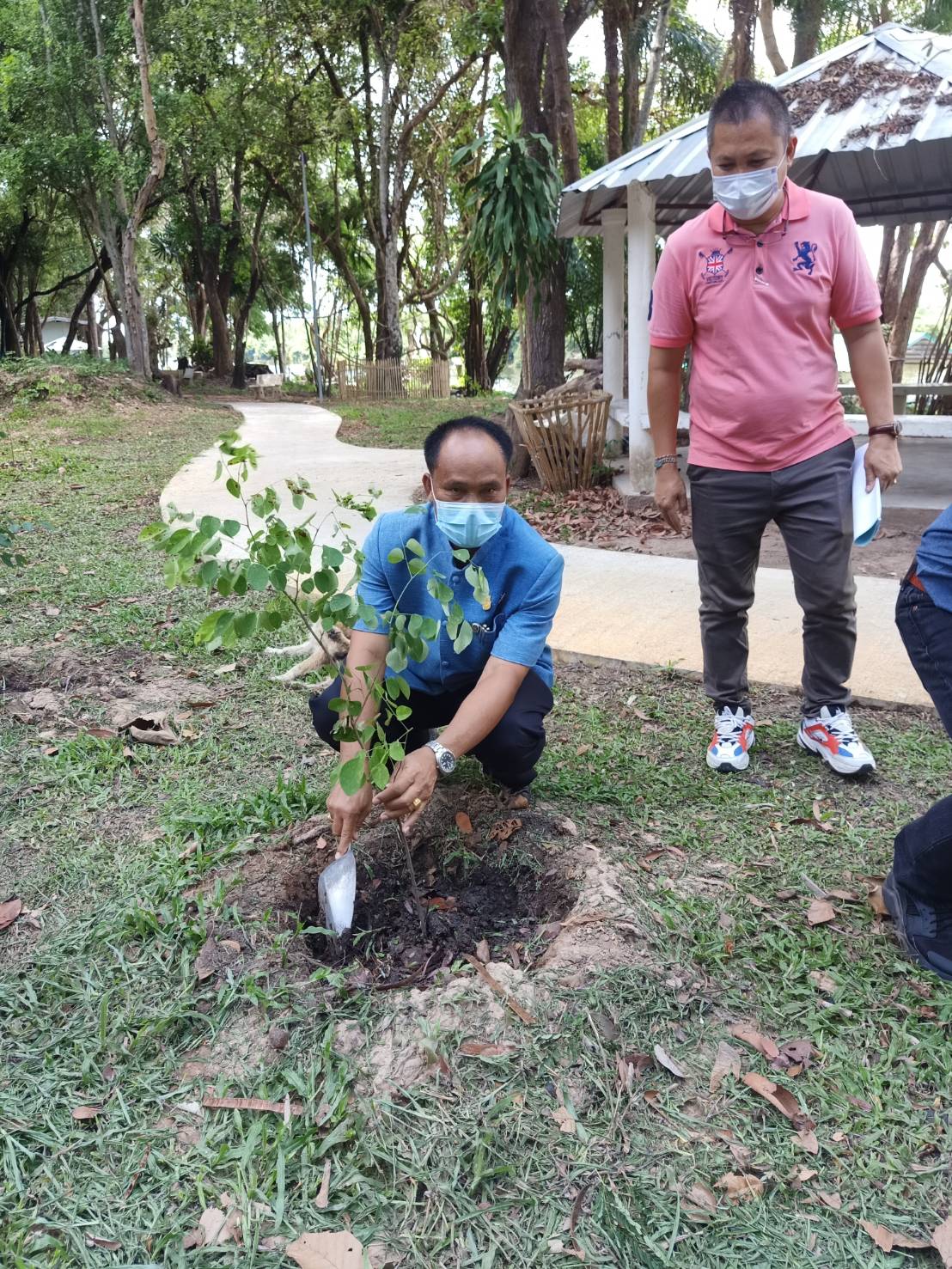 พช.ยโสธร  พัฒนาการจังหวัดยโสธรร่วมงานคัดเลือกผู้ขอรับทุนนวัตกรรมสายอาชีพชั้นสูงและปลูกต้นไม้