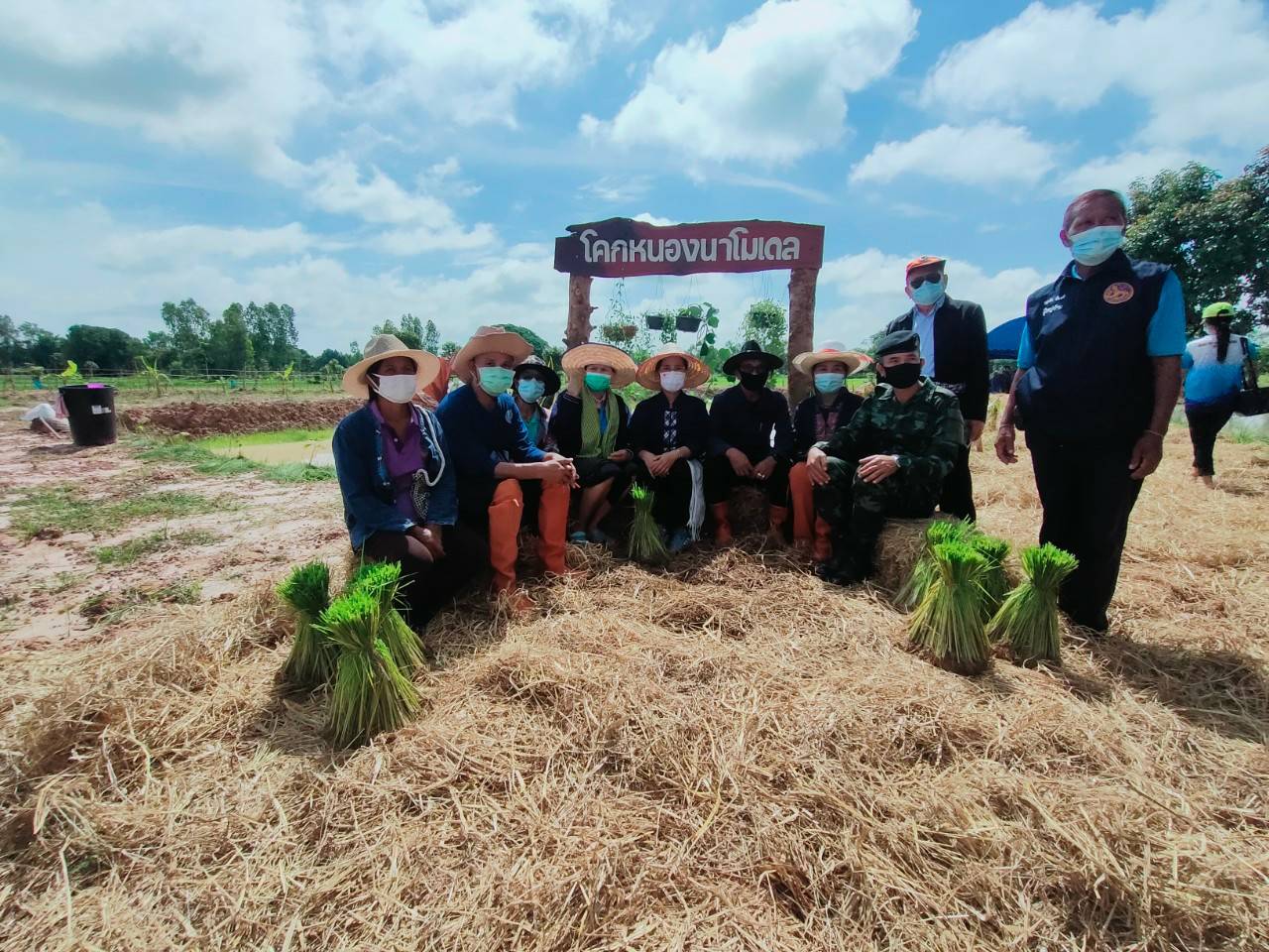“ลงแขกดำนาอินทรีย์ เอามื้อสามัคคี “โคก หนอง นา พช.”