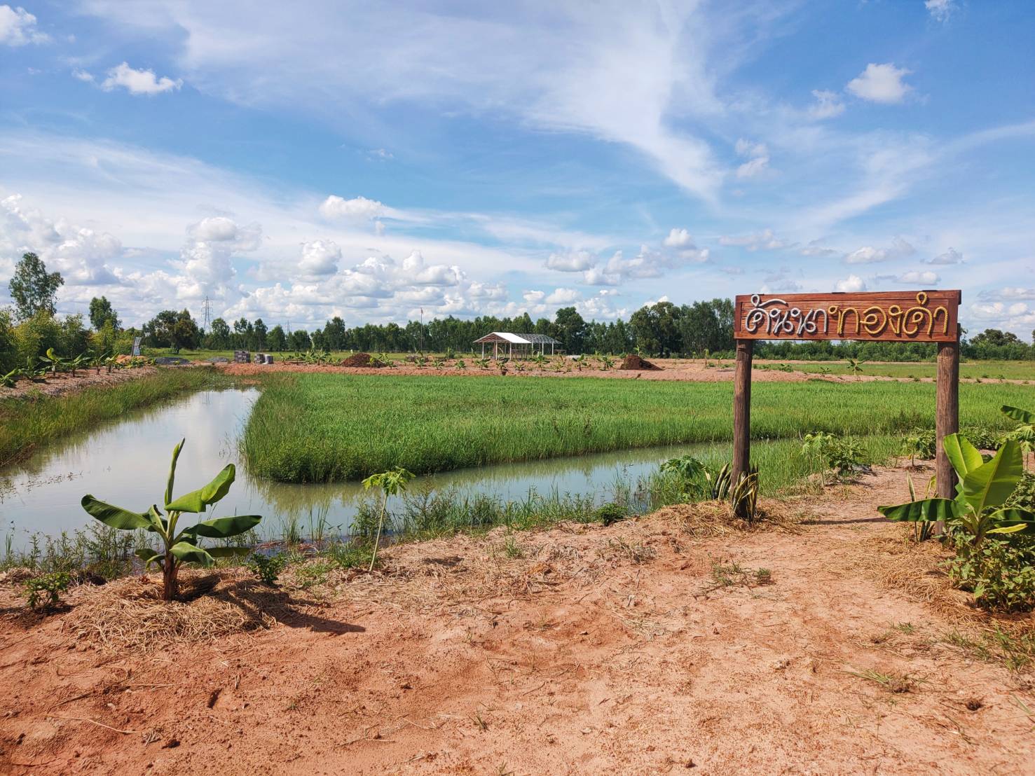ยโสธร  พัฒนาการจังหวัดยโสธร ตรวจเยี่ยมให้กำลังใจเจ้าหน้าที่พัฒนาชุมชน และลงพื้นที่ติดตามโครงการพัฒนาพื้นที่ต้นแบบการพัฒนาคุณภาพชีวิตตามหลักทฤษฎีใหม่ ประยุกต์สู่ “โคก หนอง นา พช.”  @มหาชนะชัย