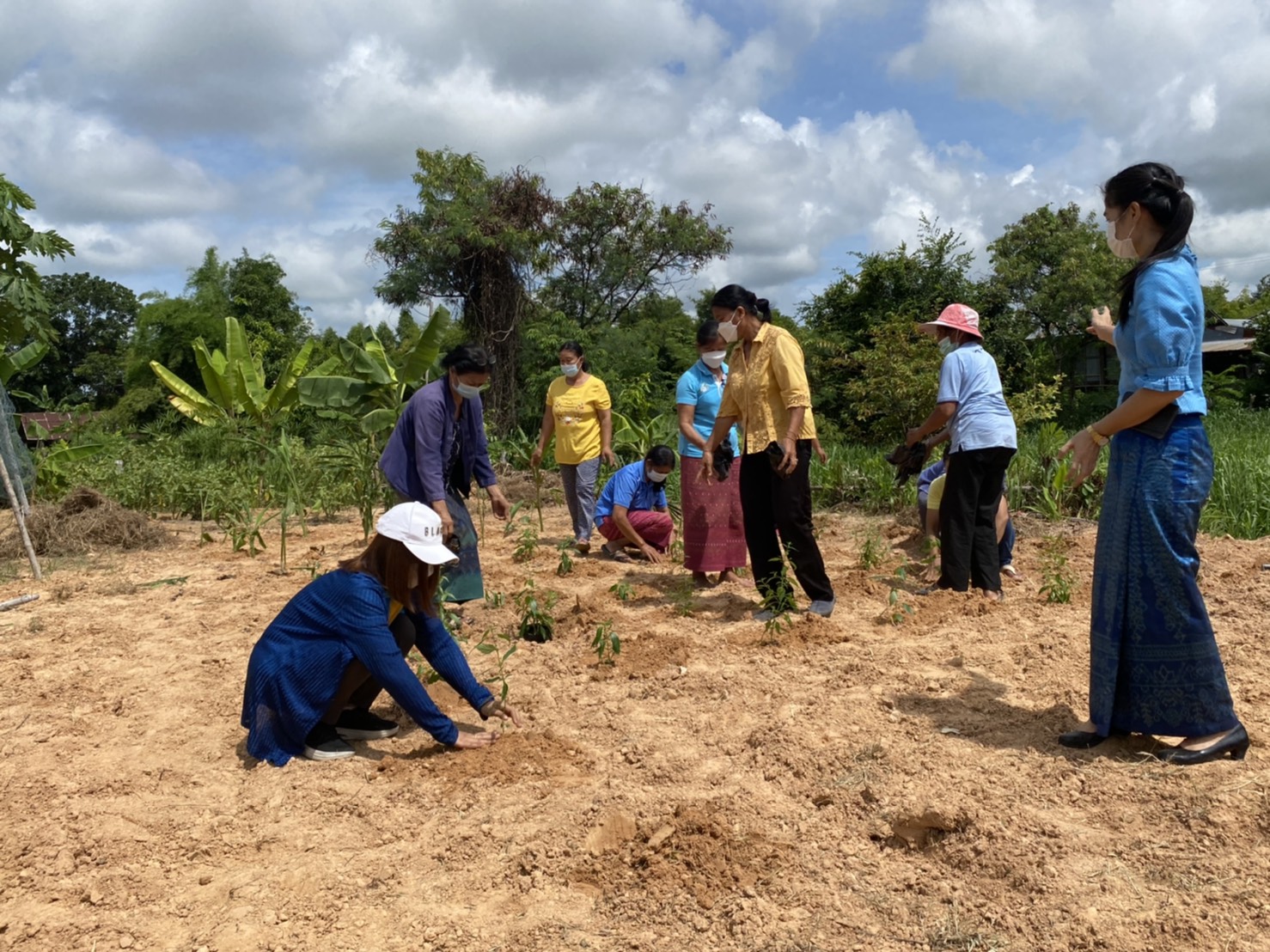 (diamond)(diamond)พช.ยโสธร ร่วมกับกองทุนแม่ของแผ่นดินบ้านแดง หมู่ที่ 17 “ปลูกฟ้าทะลายโจร…ปลูกเดือนแม่ เก็บเดือนพ่อ” ประจำปี 2564(diamond)(diamond)  (heart doodle)(heart doodle) วันที่ 31 สิงหาคม 2564 เวลา 09.00 น. นายพนม สิงห์สาย พัฒนาการจังหวัดยโสธร มอบหมายให้ นายสุรชัย แดนพิบูลย์ ผู้อำนวยการกลุ่มงานสารสนเทศการพัฒนาชุมชน พร้อมด้วย นางสาวอารยา ประจวบสุข นักวิชาการพัฒนาชุมชนชำนาญการ กลุ่มงานสารสนเทศการพัฒนาชุมชน ร่วมกับ สำนักงาน ป.ป.ส. ภาค 3 และสำนักงานพัฒนาชุมชนอำเภอกุดชุม ดำเนินกิจกรรม “ปลูกฟ้าทะลายโจร…ปลูกเดือนแม่ เก็บเดือนพ่อ” ประจำปี 2564 ณ บ้านแดง หมู่ที่ 17 ตำบลโพนงาม อำเภอกุดชุม จังหวัดยโสธร   (notepad) (notepad)  ในการนี้คณะกรรมการกองทุนแม่ของแผ่นดินได้ร่วมกันปลูกฟ้าทะลายโจร จำนวน 36 ต้น และพืชสมุนไพร อาทิเช่น ขิง ข่า ตะไคร้ ขมิ้น ฯลฯ เพื่อเป็นการเฉลิมพระเกียรติ เนื่องในโอกาสวันเฉลิมพระชนมพรรษา สมเด็จพระนางเจ้าสิริกิติ์ พระบรมราชินีนาถ พระบรมราชชนนีพันปีหลวง และเพื่อเสริมสร้างและรักษาความเข้มแข็งในการป้องกันและแก้ไขปัญหายาเสพติดของหมู่บ้าน/ชุมชน อีกทั้งยังเป็นการพัฒนาคุณภาพชีวิต ส่งเสริมอาชีพ และพัฒนาความเข้มแข็งของประชาชน ครอบครัว และชุมชนให้ปลอดภัยจากปัญหายาเสพติดและปัญหาการแพร่ระบาดของโรคติดเชื้อไวรัสโคโรนา 2019 (COVID-19) โดยมีคณะกรรมการกองทุนแม่ของแผ่นดินบ้านแดง และชาวบ้านแดงร่วมกิจกรรมในครั้งนี้   ??ทั้งนี้ ได้ดำเนินการตามมาตรการการป้องกันการแพร่เชื้อของไวรัสโควิด-19 และตามประกาศจังหวัดยโสธร   ??เป้าหมายการพัฒนาจังหวัดยโสธร : ยโสธรเมืองเกษตรอินทรีย์ เมืองแห่งวิถีอีสาน@ 250 ปี ฮุ่งเฮืองเมืองยศ☘️☘️  ? เศรษฐกิจฐานรากมั่นคงและชุมชนพึ่งตนเองได้ภายในปี 2565 ? Change for Good?   #โคกหนองนา #โคกหนองนาโมเดล #WorldSoilDay #GlobalSoilPartnership #UNFAO #CDD #SEPtoSDGs #SDGforAll@Kmitl #พัฒนาชุมชนจังหวัดยโสธร #กรมการพัฒนาชุมชน  ? ? อารยา ประจวบสุข สพจ.ยโสธร ติดตามข่าวสารเพิ่มเติมได้ที่ Facebook สำนักงานพัฒนาชุมชนจังหวัดยโสธร ? เว็บไซต์สำนักงานพัฒนาชุมชนจังหวัดยโสธร https://yasothon.cdd.go.th