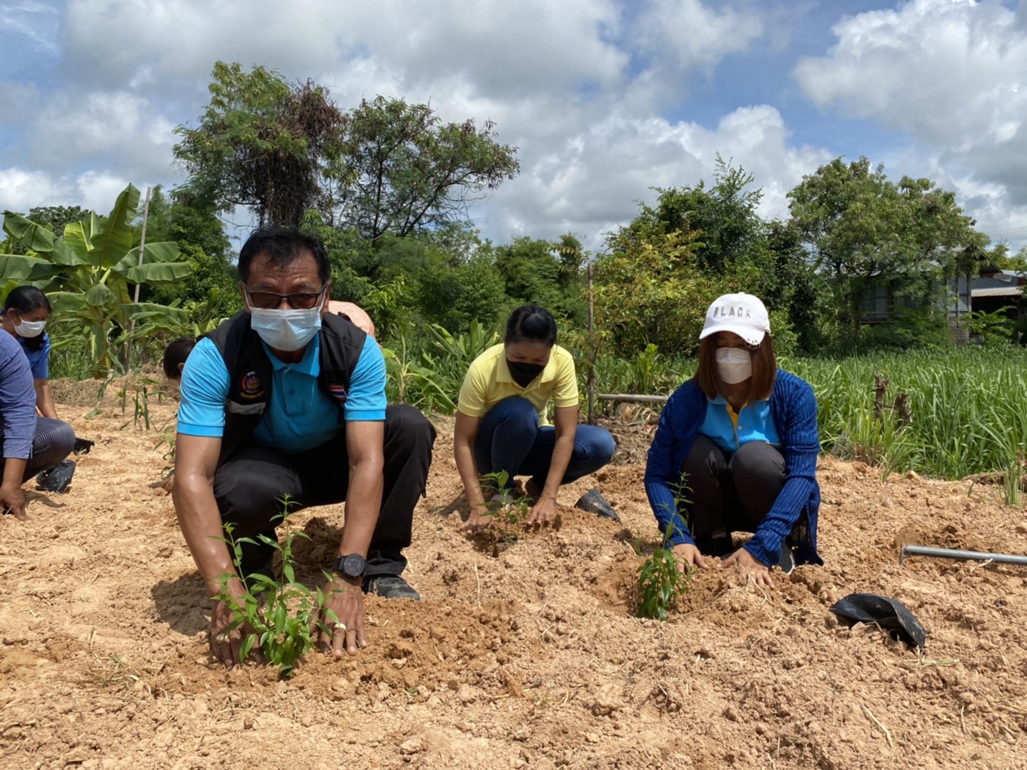 (diamond)(diamond)พช.ยโสธร ร่วมกับกองทุนแม่ของแผ่นดินบ้านแดง หมู่ที่ 17 “ปลูกฟ้าทะลายโจร…ปลูกเดือนแม่ เก็บเดือนพ่อ” ประจำปี 2564(diamond)(diamond)  (heart doodle)(heart doodle) วันที่ 31 สิงหาคม 2564 เวลา 09.00 น. นายพนม สิงห์สาย พัฒนาการจังหวัดยโสธร มอบหมายให้ นายสุรชัย แดนพิบูลย์ ผู้อำนวยการกลุ่มงานสารสนเทศการพัฒนาชุมชน พร้อมด้วย นางสาวอารยา ประจวบสุข นักวิชาการพัฒนาชุมชนชำนาญการ กลุ่มงานสารสนเทศการพัฒนาชุมชน ร่วมกับ สำนักงาน ป.ป.ส. ภาค 3 และสำนักงานพัฒนาชุมชนอำเภอกุดชุม ดำเนินกิจกรรม “ปลูกฟ้าทะลายโจร…ปลูกเดือนแม่ เก็บเดือนพ่อ” ประจำปี 2564 ณ บ้านแดง หมู่ที่ 17 ตำบลโพนงาม อำเภอกุดชุม จังหวัดยโสธร   (notepad) (notepad)  ในการนี้คณะกรรมการกองทุนแม่ของแผ่นดินได้ร่วมกันปลูกฟ้าทะลายโจร จำนวน 36 ต้น และพืชสมุนไพร อาทิเช่น ขิง ข่า ตะไคร้ ขมิ้น ฯลฯ เพื่อเป็นการเฉลิมพระเกียรติ เนื่องในโอกาสวันเฉลิมพระชนมพรรษา สมเด็จพระนางเจ้าสิริกิติ์ พระบรมราชินีนาถ พระบรมราชชนนีพันปีหลวง และเพื่อเสริมสร้างและรักษาความเข้มแข็งในการป้องกันและแก้ไขปัญหายาเสพติดของหมู่บ้าน/ชุมชน อีกทั้งยังเป็นการพัฒนาคุณภาพชีวิต ส่งเสริมอาชีพ และพัฒนาความเข้มแข็งของประชาชน ครอบครัว และชุมชนให้ปลอดภัยจากปัญหายาเสพติดและปัญหาการแพร่ระบาดของโรคติดเชื้อไวรัสโคโรนา 2019 (COVID-19) โดยมีคณะกรรมการกองทุนแม่ของแผ่นดินบ้านแดง และชาวบ้านแดงร่วมกิจกรรมในครั้งนี้   ??ทั้งนี้ ได้ดำเนินการตามมาตรการการป้องกันการแพร่เชื้อของไวรัสโควิด-19 และตามประกาศจังหวัดยโสธร   ??เป้าหมายการพัฒนาจังหวัดยโสธร : ยโสธรเมืองเกษตรอินทรีย์ เมืองแห่งวิถีอีสาน@ 250 ปี ฮุ่งเฮืองเมืองยศ☘️☘️  ? เศรษฐกิจฐานรากมั่นคงและชุมชนพึ่งตนเองได้ภายในปี 2565 ? Change for Good?   #โคกหนองนา #โคกหนองนาโมเดล #WorldSoilDay #GlobalSoilPartnership #UNFAO #CDD #SEPtoSDGs #SDGforAll@Kmitl #พัฒนาชุมชนจังหวัดยโสธร #กรมการพัฒนาชุมชน  ? ? อารยา ประจวบสุข สพจ.ยโสธร ติดตามข่าวสารเพิ่มเติมได้ที่ Facebook สำนักงานพัฒนาชุมชนจังหวัดยโสธร ? เว็บไซต์สำนักงานพัฒนาชุมชนจังหวัดยโสธร https://yasothon.cdd.go.th