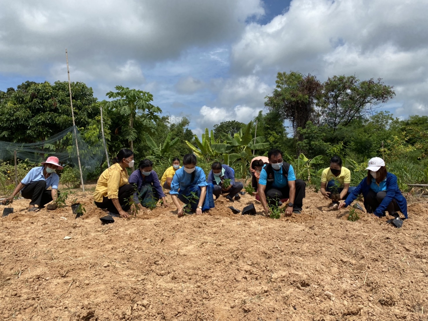 (diamond)(diamond)พช.ยโสธร ร่วมกับกองทุนแม่ของแผ่นดินบ้านแดง หมู่ที่ 17 “ปลูกฟ้าทะลายโจร…ปลูกเดือนแม่ เก็บเดือนพ่อ” ประจำปี 2564(diamond)(diamond)  (heart doodle)(heart doodle) วันที่ 31 สิงหาคม 2564 เวลา 09.00 น. นายพนม สิงห์สาย พัฒนาการจังหวัดยโสธร มอบหมายให้ นายสุรชัย แดนพิบูลย์ ผู้อำนวยการกลุ่มงานสารสนเทศการพัฒนาชุมชน พร้อมด้วย นางสาวอารยา ประจวบสุข นักวิชาการพัฒนาชุมชนชำนาญการ กลุ่มงานสารสนเทศการพัฒนาชุมชน ร่วมกับ สำนักงาน ป.ป.ส. ภาค 3 และสำนักงานพัฒนาชุมชนอำเภอกุดชุม ดำเนินกิจกรรม “ปลูกฟ้าทะลายโจร…ปลูกเดือนแม่ เก็บเดือนพ่อ” ประจำปี 2564 ณ บ้านแดง หมู่ที่ 17 ตำบลโพนงาม อำเภอกุดชุม จังหวัดยโสธร   (notepad) (notepad)  ในการนี้คณะกรรมการกองทุนแม่ของแผ่นดินได้ร่วมกันปลูกฟ้าทะลายโจร จำนวน 36 ต้น และพืชสมุนไพร อาทิเช่น ขิง ข่า ตะไคร้ ขมิ้น ฯลฯ เพื่อเป็นการเฉลิมพระเกียรติ เนื่องในโอกาสวันเฉลิมพระชนมพรรษา สมเด็จพระนางเจ้าสิริกิติ์ พระบรมราชินีนาถ พระบรมราชชนนีพันปีหลวง และเพื่อเสริมสร้างและรักษาความเข้มแข็งในการป้องกันและแก้ไขปัญหายาเสพติดของหมู่บ้าน/ชุมชน อีกทั้งยังเป็นการพัฒนาคุณภาพชีวิต ส่งเสริมอาชีพ และพัฒนาความเข้มแข็งของประชาชน ครอบครัว และชุมชนให้ปลอดภัยจากปัญหายาเสพติดและปัญหาการแพร่ระบาดของโรคติดเชื้อไวรัสโคโรนา 2019 (COVID-19) โดยมีคณะกรรมการกองทุนแม่ของแผ่นดินบ้านแดง และชาวบ้านแดงร่วมกิจกรรมในครั้งนี้   ??ทั้งนี้ ได้ดำเนินการตามมาตรการการป้องกันการแพร่เชื้อของไวรัสโควิด-19 และตามประกาศจังหวัดยโสธร   ??เป้าหมายการพัฒนาจังหวัดยโสธร : ยโสธรเมืองเกษตรอินทรีย์ เมืองแห่งวิถีอีสาน@ 250 ปี ฮุ่งเฮืองเมืองยศ☘️☘️  ? เศรษฐกิจฐานรากมั่นคงและชุมชนพึ่งตนเองได้ภายในปี 2565 ? Change for Good?   #โคกหนองนา #โคกหนองนาโมเดล #WorldSoilDay #GlobalSoilPartnership #UNFAO #CDD #SEPtoSDGs #SDGforAll@Kmitl #พัฒนาชุมชนจังหวัดยโสธร #กรมการพัฒนาชุมชน  ? ? อารยา ประจวบสุข สพจ.ยโสธร ติดตามข่าวสารเพิ่มเติมได้ที่ Facebook สำนักงานพัฒนาชุมชนจังหวัดยโสธร ? เว็บไซต์สำนักงานพัฒนาชุมชนจังหวัดยโสธร https://yasothon.cdd.go.th