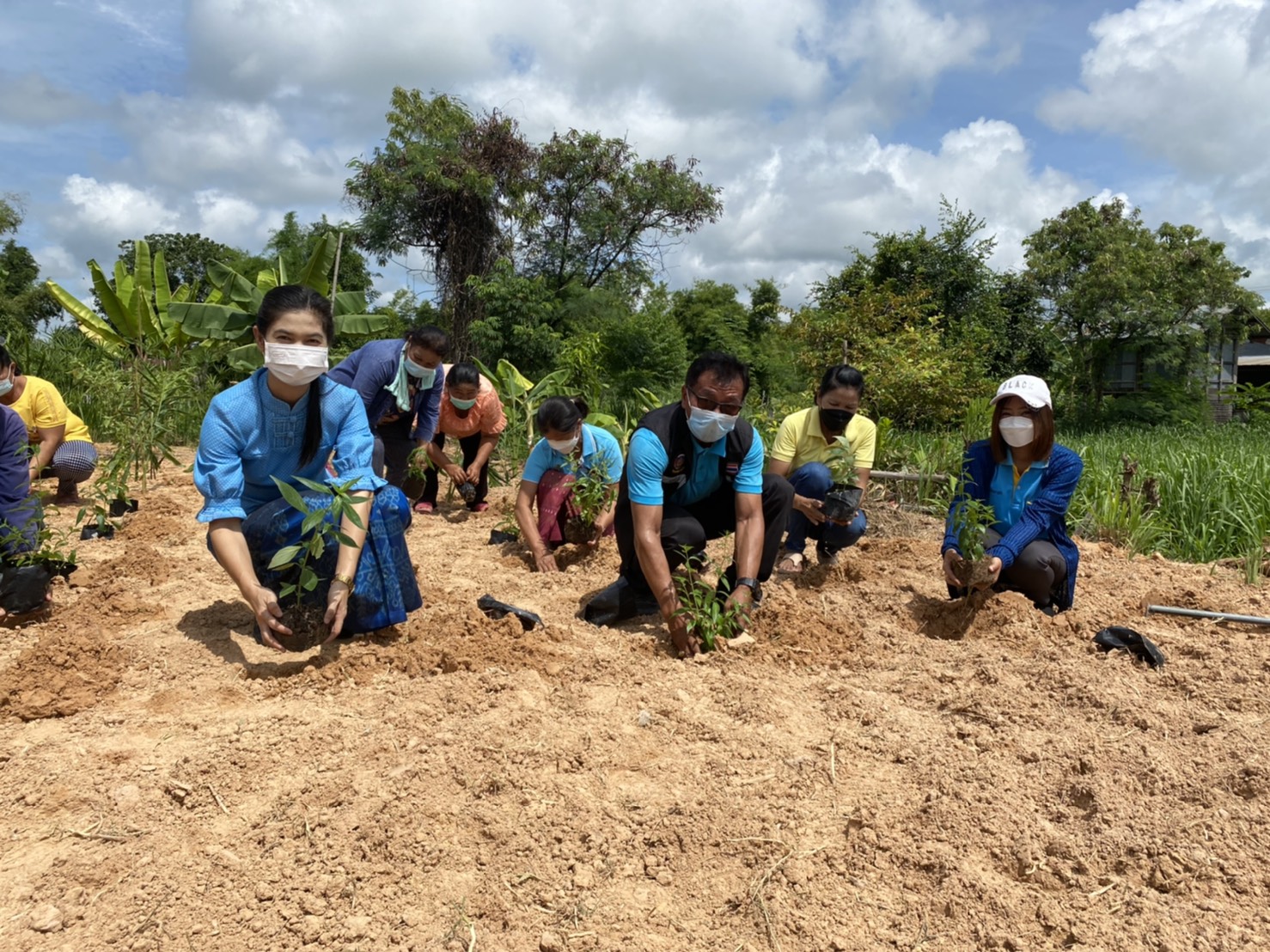 (diamond)(diamond)พช.ยโสธร ร่วมกับกองทุนแม่ของแผ่นดินบ้านแดง หมู่ที่ 17 “ปลูกฟ้าทะลายโจร…ปลูกเดือนแม่ เก็บเดือนพ่อ” ประจำปี 2564(diamond)(diamond)  (heart doodle)(heart doodle) วันที่ 31 สิงหาคม 2564 เวลา 09.00 น. นายพนม สิงห์สาย พัฒนาการจังหวัดยโสธร มอบหมายให้ นายสุรชัย แดนพิบูลย์ ผู้อำนวยการกลุ่มงานสารสนเทศการพัฒนาชุมชน พร้อมด้วย นางสาวอารยา ประจวบสุข นักวิชาการพัฒนาชุมชนชำนาญการ กลุ่มงานสารสนเทศการพัฒนาชุมชน ร่วมกับ สำนักงาน ป.ป.ส. ภาค 3 และสำนักงานพัฒนาชุมชนอำเภอกุดชุม ดำเนินกิจกรรม “ปลูกฟ้าทะลายโจร…ปลูกเดือนแม่ เก็บเดือนพ่อ” ประจำปี 2564 ณ บ้านแดง หมู่ที่ 17 ตำบลโพนงาม อำเภอกุดชุม จังหวัดยโสธร   (notepad) (notepad)  ในการนี้คณะกรรมการกองทุนแม่ของแผ่นดินได้ร่วมกันปลูกฟ้าทะลายโจร จำนวน 36 ต้น และพืชสมุนไพร อาทิเช่น ขิง ข่า ตะไคร้ ขมิ้น ฯลฯ เพื่อเป็นการเฉลิมพระเกียรติ เนื่องในโอกาสวันเฉลิมพระชนมพรรษา สมเด็จพระนางเจ้าสิริกิติ์ พระบรมราชินีนาถ พระบรมราชชนนีพันปีหลวง และเพื่อเสริมสร้างและรักษาความเข้มแข็งในการป้องกันและแก้ไขปัญหายาเสพติดของหมู่บ้าน/ชุมชน อีกทั้งยังเป็นการพัฒนาคุณภาพชีวิต ส่งเสริมอาชีพ และพัฒนาความเข้มแข็งของประชาชน ครอบครัว และชุมชนให้ปลอดภัยจากปัญหายาเสพติดและปัญหาการแพร่ระบาดของโรคติดเชื้อไวรัสโคโรนา 2019 (COVID-19) โดยมีคณะกรรมการกองทุนแม่ของแผ่นดินบ้านแดง และชาวบ้านแดงร่วมกิจกรรมในครั้งนี้   ??ทั้งนี้ ได้ดำเนินการตามมาตรการการป้องกันการแพร่เชื้อของไวรัสโควิด-19 และตามประกาศจังหวัดยโสธร   ??เป้าหมายการพัฒนาจังหวัดยโสธร : ยโสธรเมืองเกษตรอินทรีย์ เมืองแห่งวิถีอีสาน@ 250 ปี ฮุ่งเฮืองเมืองยศ☘️☘️  ? เศรษฐกิจฐานรากมั่นคงและชุมชนพึ่งตนเองได้ภายในปี 2565 ? Change for Good?   #โคกหนองนา #โคกหนองนาโมเดล #WorldSoilDay #GlobalSoilPartnership #UNFAO #CDD #SEPtoSDGs #SDGforAll@Kmitl #พัฒนาชุมชนจังหวัดยโสธร #กรมการพัฒนาชุมชน  ? ? อารยา ประจวบสุข สพจ.ยโสธร ติดตามข่าวสารเพิ่มเติมได้ที่ Facebook สำนักงานพัฒนาชุมชนจังหวัดยโสธร ? เว็บไซต์สำนักงานพัฒนาชุมชนจังหวัดยโสธร https://yasothon.cdd.go.th