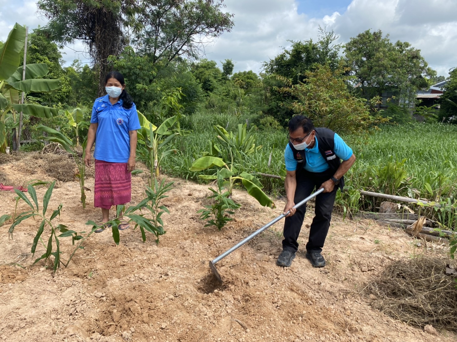 (diamond)(diamond)พช.ยโสธร ร่วมกับกองทุนแม่ของแผ่นดินบ้านแดง หมู่ที่ 17 “ปลูกฟ้าทะลายโจร…ปลูกเดือนแม่ เก็บเดือนพ่อ” ประจำปี 2564(diamond)(diamond)  (heart doodle)(heart doodle) วันที่ 31 สิงหาคม 2564 เวลา 09.00 น. นายพนม สิงห์สาย พัฒนาการจังหวัดยโสธร มอบหมายให้ นายสุรชัย แดนพิบูลย์ ผู้อำนวยการกลุ่มงานสารสนเทศการพัฒนาชุมชน พร้อมด้วย นางสาวอารยา ประจวบสุข นักวิชาการพัฒนาชุมชนชำนาญการ กลุ่มงานสารสนเทศการพัฒนาชุมชน ร่วมกับ สำนักงาน ป.ป.ส. ภาค 3 และสำนักงานพัฒนาชุมชนอำเภอกุดชุม ดำเนินกิจกรรม “ปลูกฟ้าทะลายโจร…ปลูกเดือนแม่ เก็บเดือนพ่อ” ประจำปี 2564 ณ บ้านแดง หมู่ที่ 17 ตำบลโพนงาม อำเภอกุดชุม จังหวัดยโสธร   (notepad) (notepad)  ในการนี้คณะกรรมการกองทุนแม่ของแผ่นดินได้ร่วมกันปลูกฟ้าทะลายโจร จำนวน 36 ต้น และพืชสมุนไพร อาทิเช่น ขิง ข่า ตะไคร้ ขมิ้น ฯลฯ เพื่อเป็นการเฉลิมพระเกียรติ เนื่องในโอกาสวันเฉลิมพระชนมพรรษา สมเด็จพระนางเจ้าสิริกิติ์ พระบรมราชินีนาถ พระบรมราชชนนีพันปีหลวง และเพื่อเสริมสร้างและรักษาความเข้มแข็งในการป้องกันและแก้ไขปัญหายาเสพติดของหมู่บ้าน/ชุมชน อีกทั้งยังเป็นการพัฒนาคุณภาพชีวิต ส่งเสริมอาชีพ และพัฒนาความเข้มแข็งของประชาชน ครอบครัว และชุมชนให้ปลอดภัยจากปัญหายาเสพติดและปัญหาการแพร่ระบาดของโรคติดเชื้อไวรัสโคโรนา 2019 (COVID-19) โดยมีคณะกรรมการกองทุนแม่ของแผ่นดินบ้านแดง และชาวบ้านแดงร่วมกิจกรรมในครั้งนี้   ??ทั้งนี้ ได้ดำเนินการตามมาตรการการป้องกันการแพร่เชื้อของไวรัสโควิด-19 และตามประกาศจังหวัดยโสธร   ??เป้าหมายการพัฒนาจังหวัดยโสธร : ยโสธรเมืองเกษตรอินทรีย์ เมืองแห่งวิถีอีสาน@ 250 ปี ฮุ่งเฮืองเมืองยศ☘️☘️  ? เศรษฐกิจฐานรากมั่นคงและชุมชนพึ่งตนเองได้ภายในปี 2565 ? Change for Good?   #โคกหนองนา #โคกหนองนาโมเดล #WorldSoilDay #GlobalSoilPartnership #UNFAO #CDD #SEPtoSDGs #SDGforAll@Kmitl #พัฒนาชุมชนจังหวัดยโสธร #กรมการพัฒนาชุมชน  ? ? อารยา ประจวบสุข สพจ.ยโสธร ติดตามข่าวสารเพิ่มเติมได้ที่ Facebook สำนักงานพัฒนาชุมชนจังหวัดยโสธร ? เว็บไซต์สำนักงานพัฒนาชุมชนจังหวัดยโสธร https://yasothon.cdd.go.th