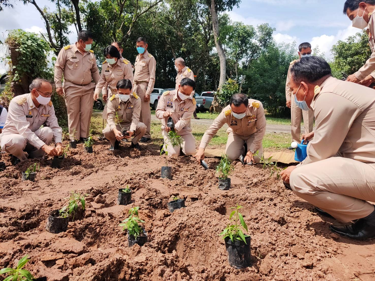 พช.ยโสธร  พัฒนาการจังหวัดยโสธร ร่วมกิจกรรม KICK OFF สมุนไพรอินทรีย์ 1 แสนต้น เพื่อคนยโสธร  ซึ่งเป็นโครงการพลิกฟื้นพืชสมุนไพรอินทรีย์ 1 แสนต้น เพื่อคนยโสธร ต้านภัยโควิด-19