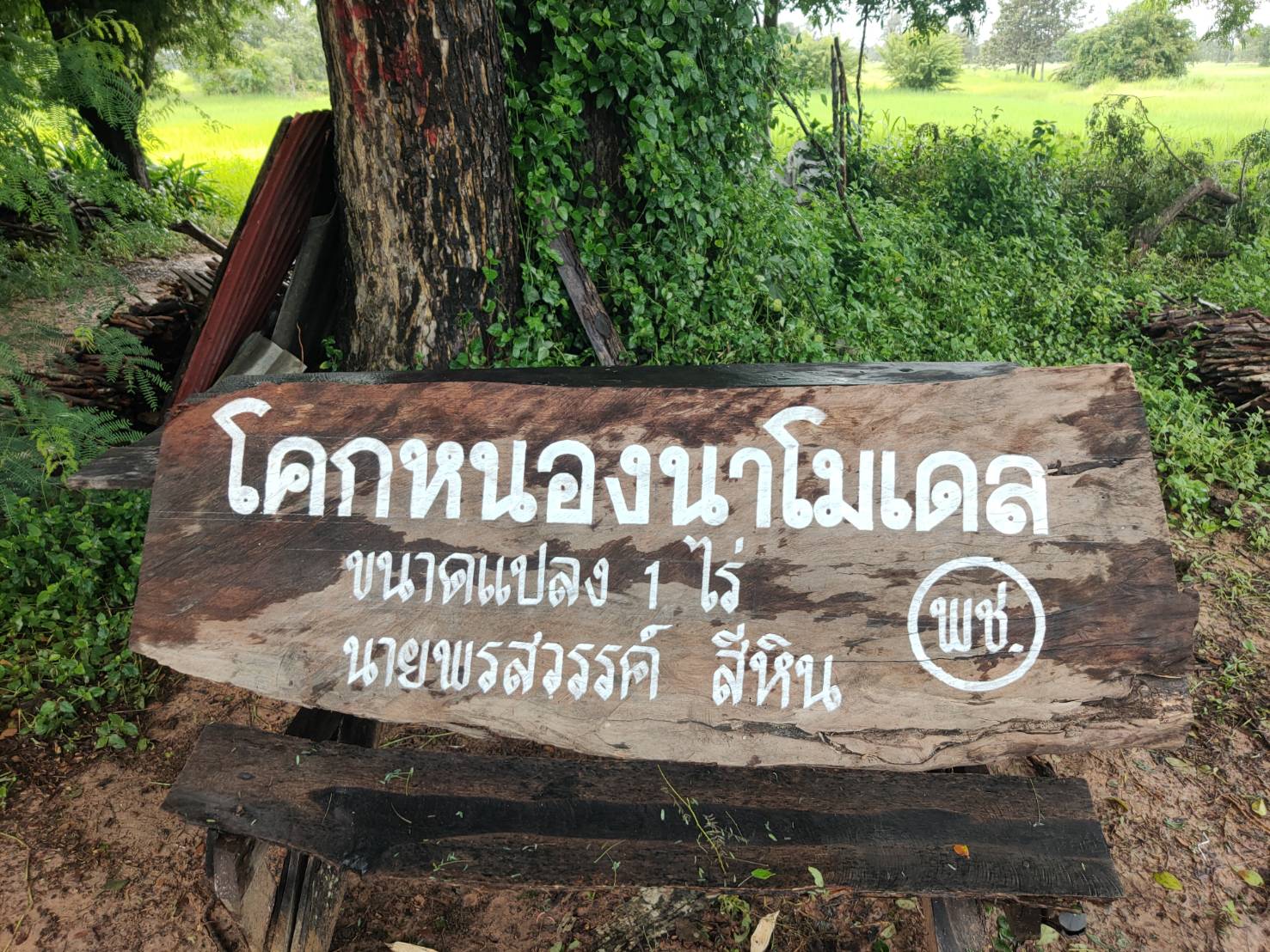 พช. ยโสธร พัฒนาการจังหวัดยโสธรตรวจเยี่ยมโครงการพัฒนาพื้นที่ต้นแบบการพัฒนาคุณภาพชีวิตตามหลักทฤษฎีใหม่ ประยุกต์สู่ “โคก หนอง นา โมเดล” กิจกรรมที่ 1 ฝึกอบรมระยะสั้นการพัฒนากสิกรรมสู่ระบบเศรษฐกิจพอเพียง รูปแบบโคก หนอง นา โมเดล พื้นที่อำเภอคำเขื่อนแก้ว